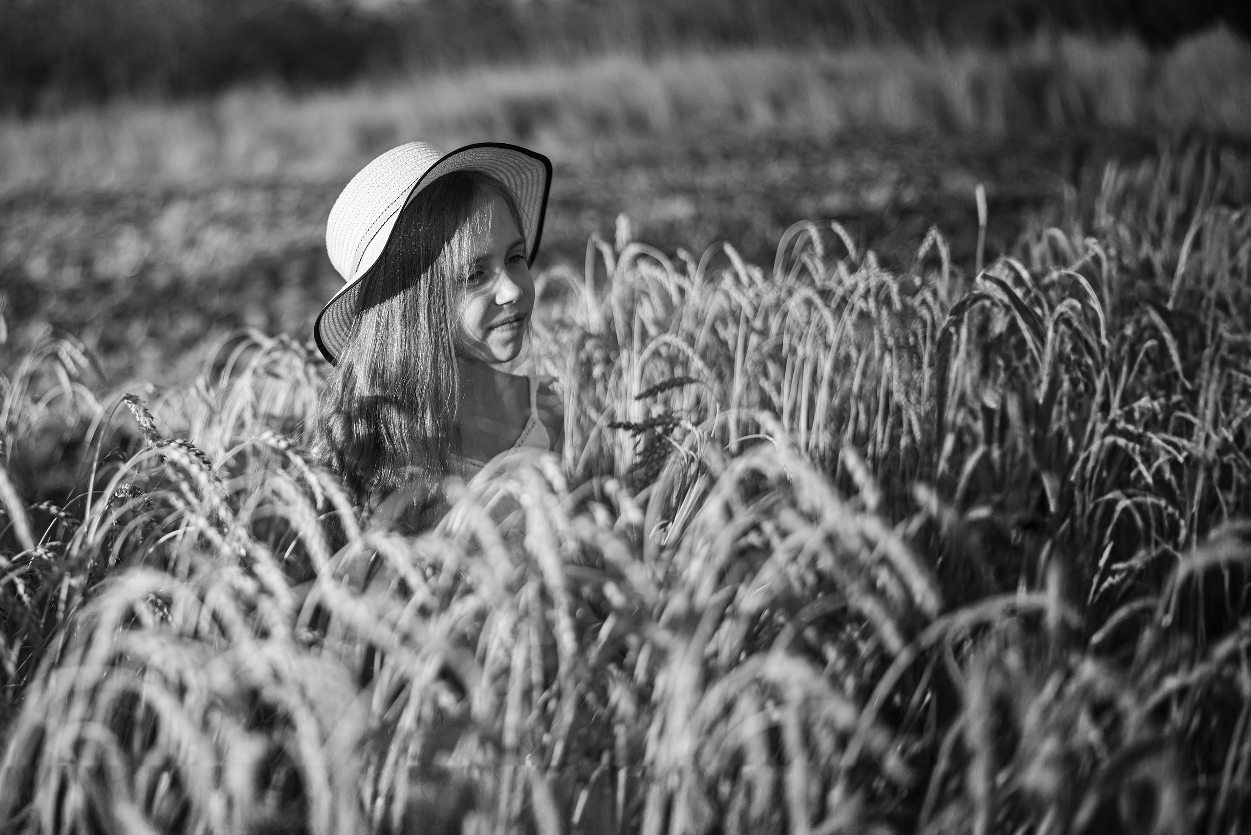 Поле пшеницы. Главная