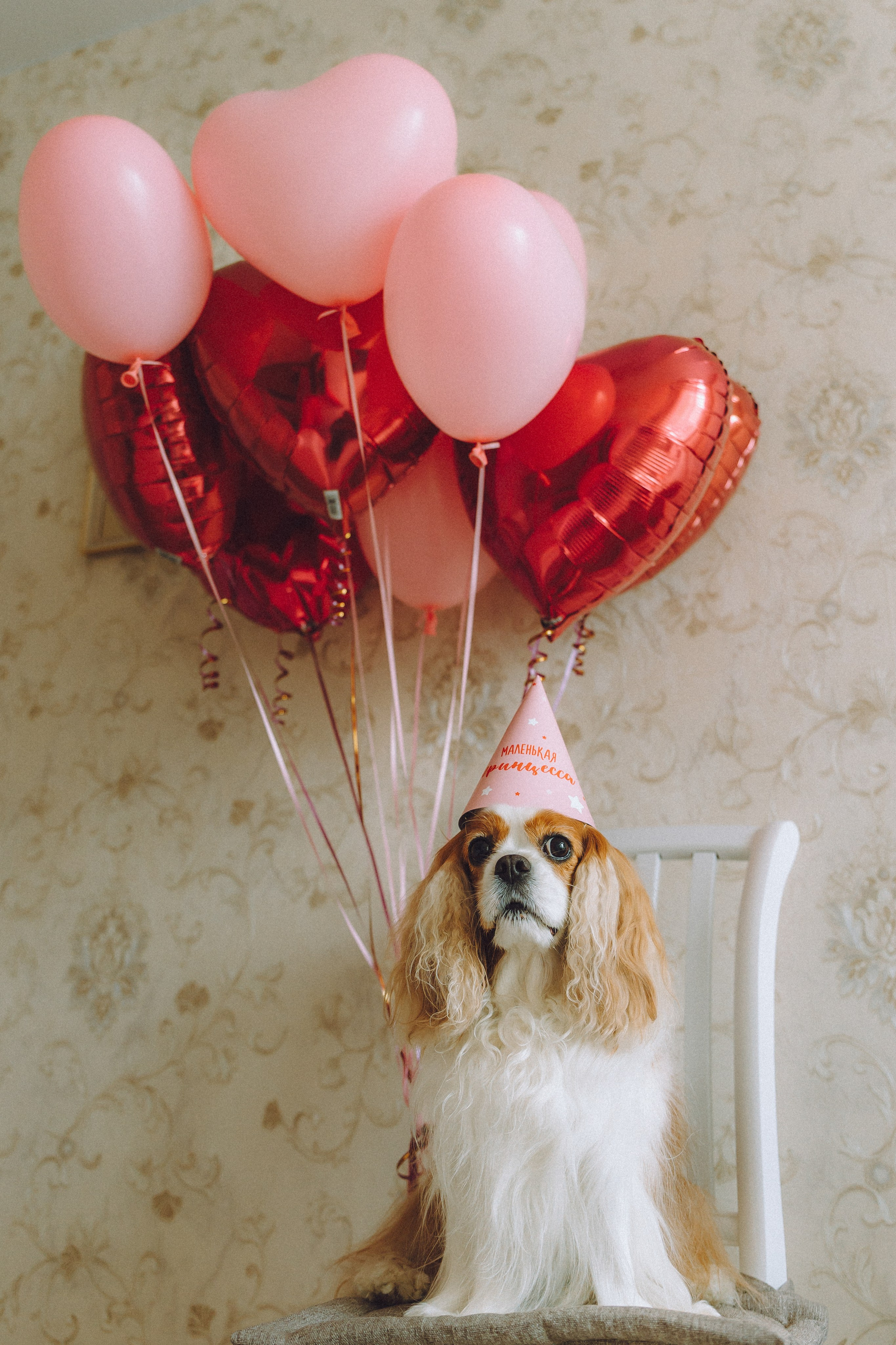 Наташа и Вики