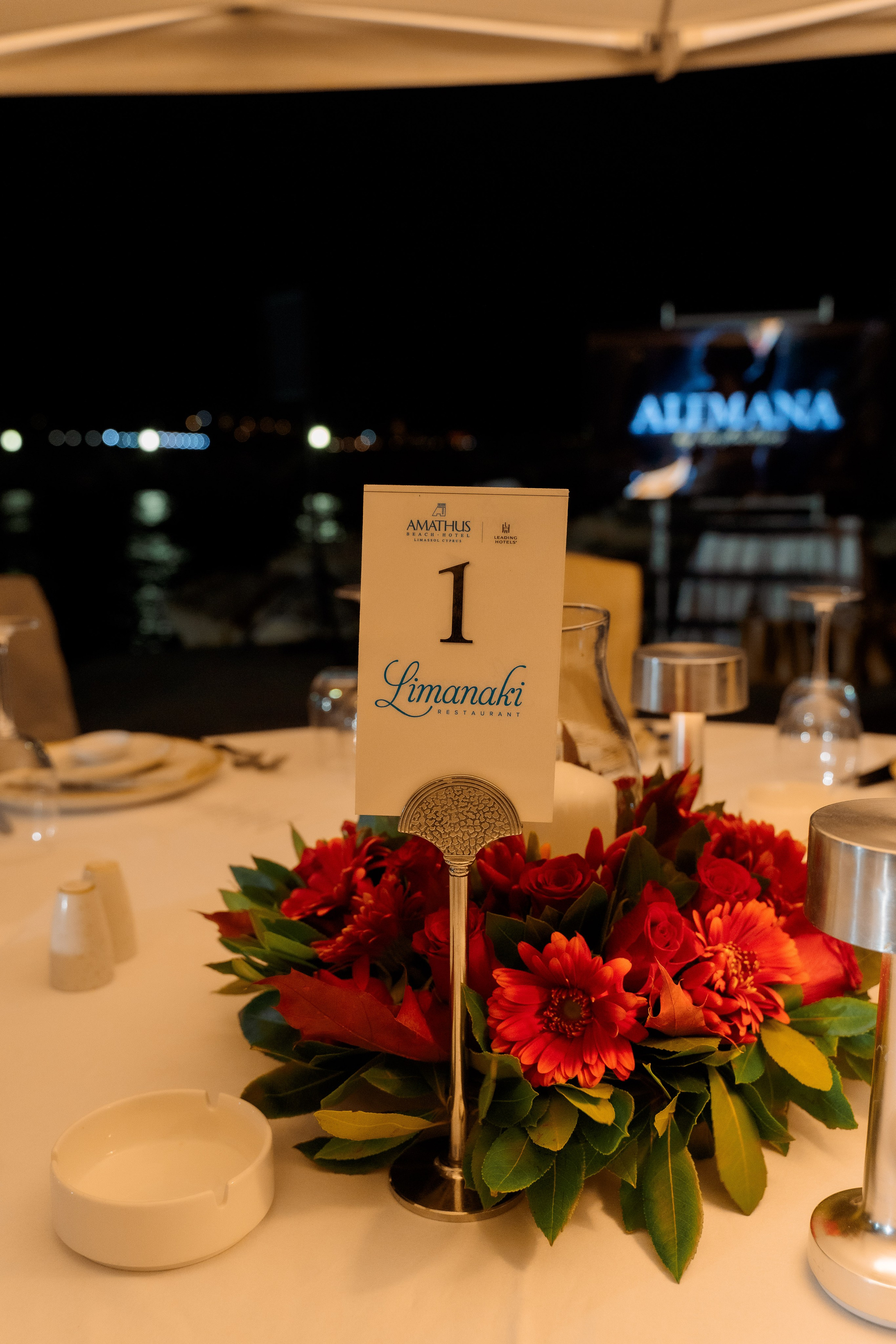 Alemana 2 года. Корпоратив на берегу моря. Свадебный и семейный фотограф Ирина Чернова