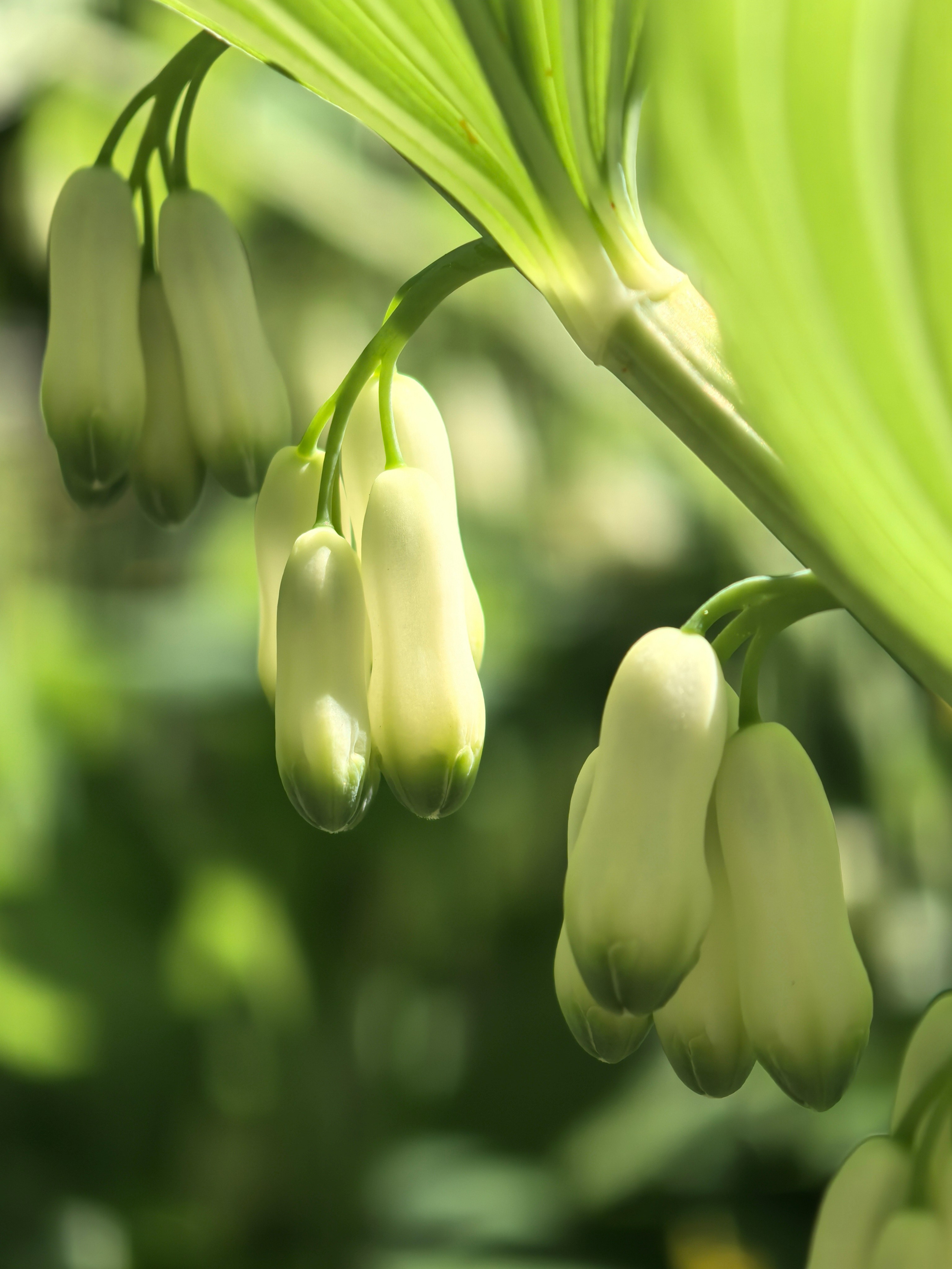 ПочтиМАКРО. Школьные выпускные альбомы в Москве Марина Николаева