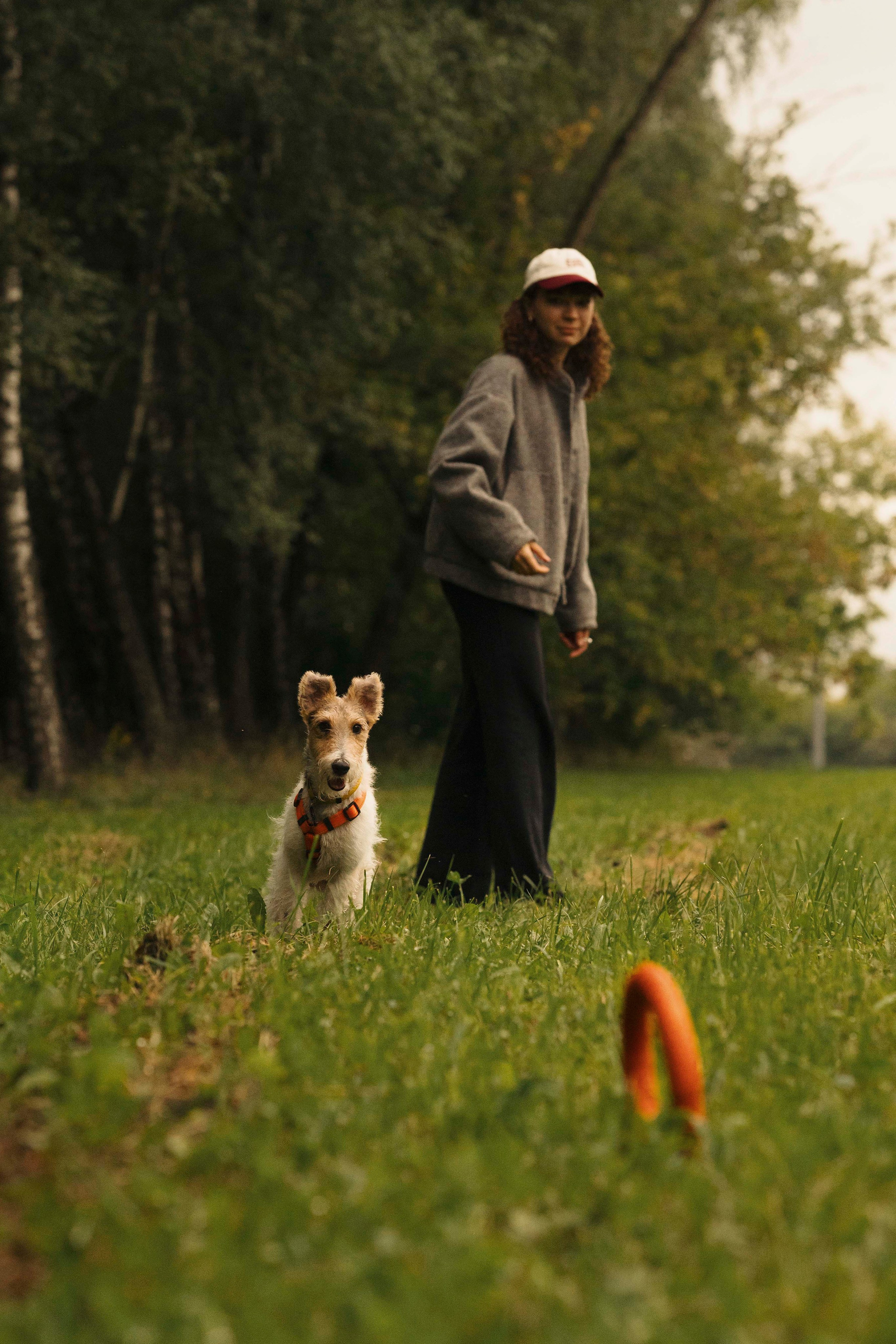 Мартин. Фотограф- анималист Александра Матвеева