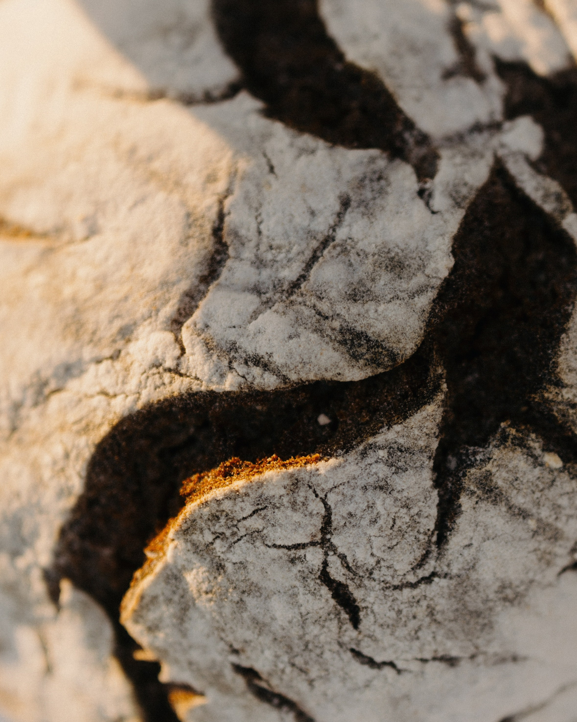 Как мы сюда попали?. Михаил и Юлия Лыженко — свадебный фотограф Волгоград