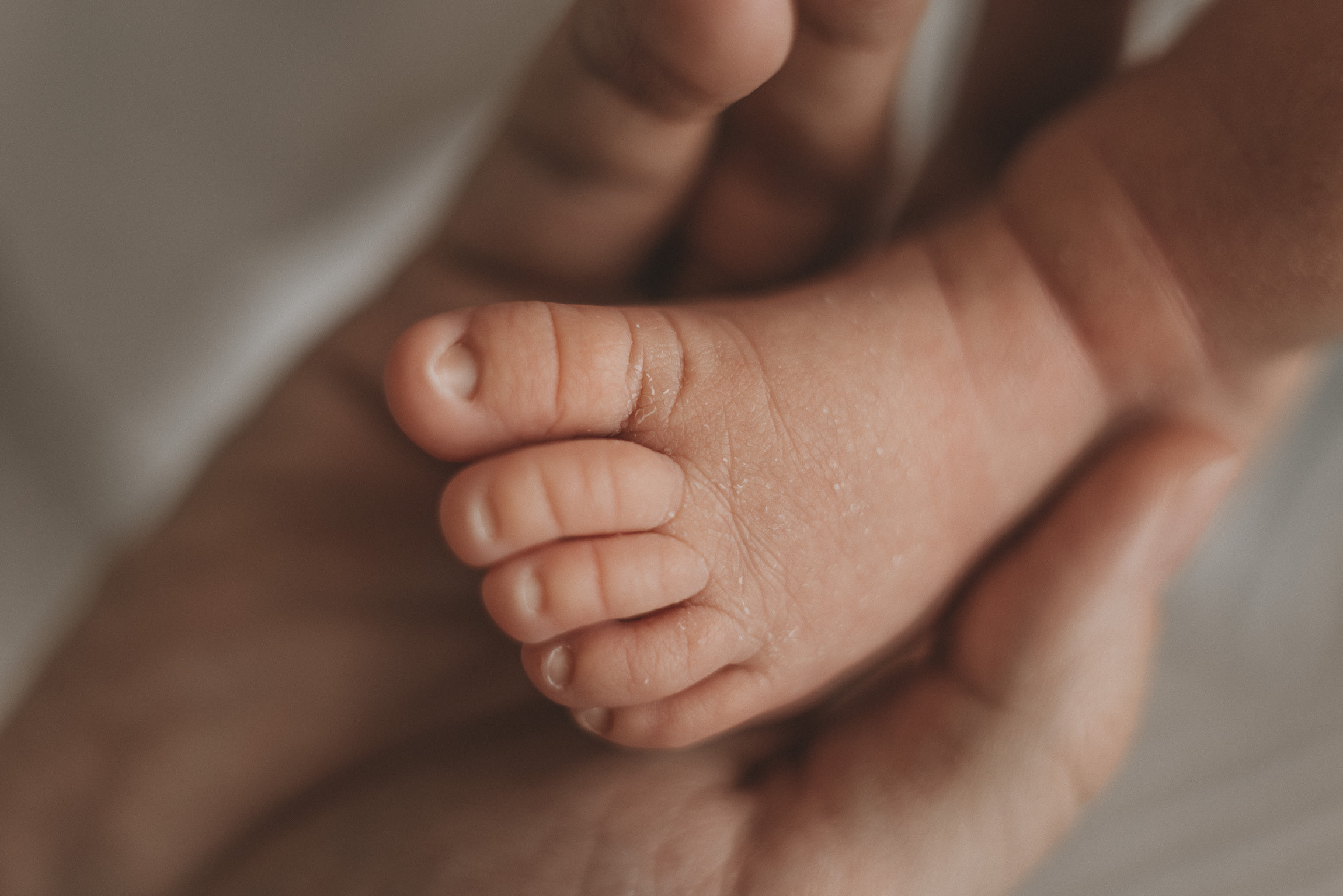 Мирон и его 2 недели. Фотограф новорожденных в стиле lifestyle в Воронеже Юлия Ключникова