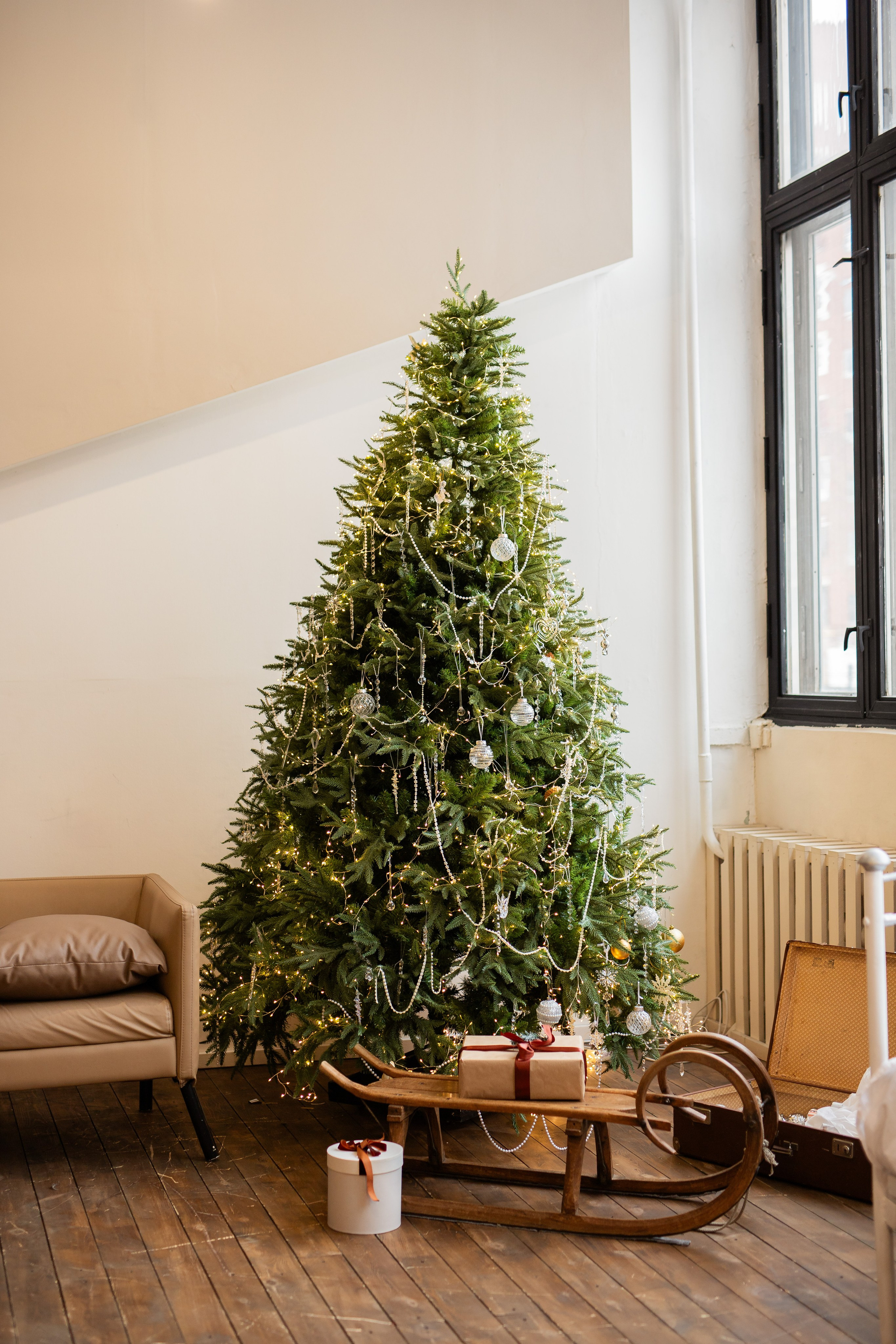 Новогодняя Семейная. Фотограф Анастасия Петрова