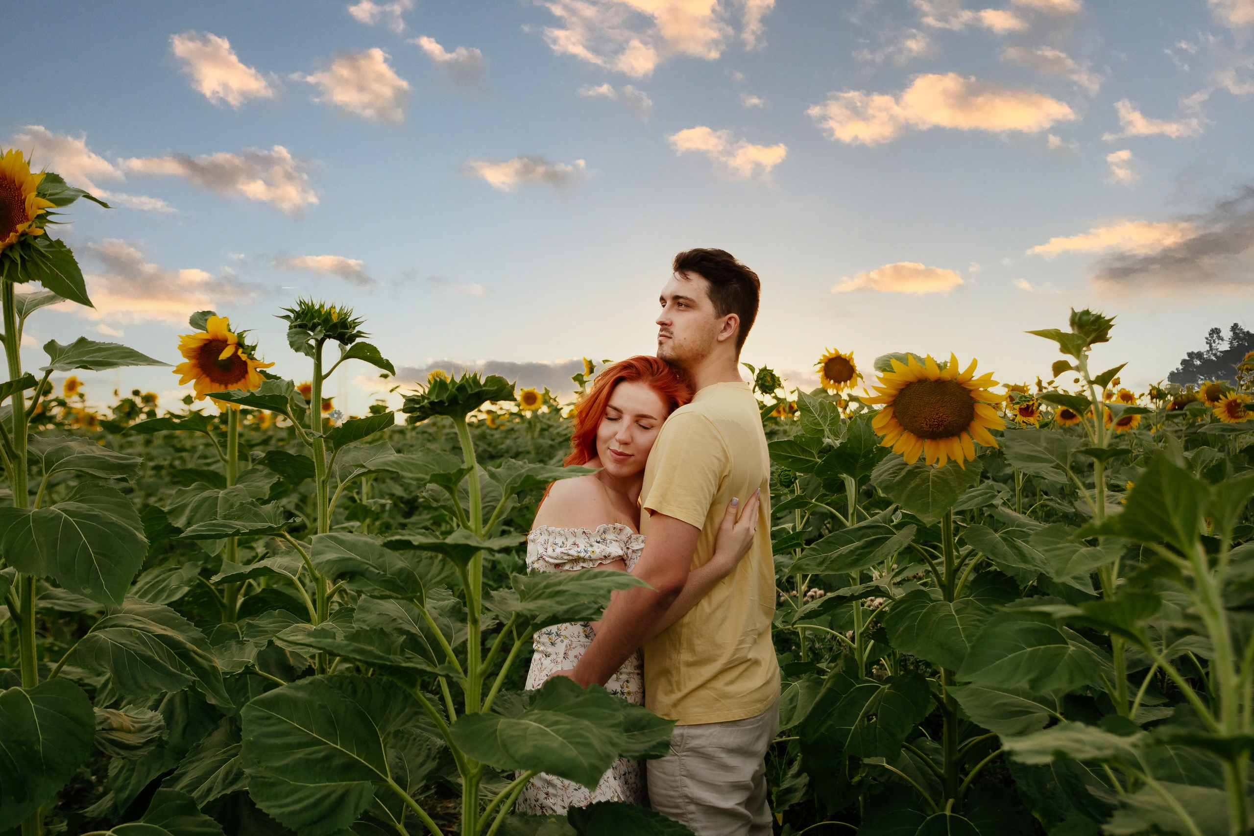 Подсолнухи. Свадебный и семейный фотограф в Краснодаре Илонна Ковалева