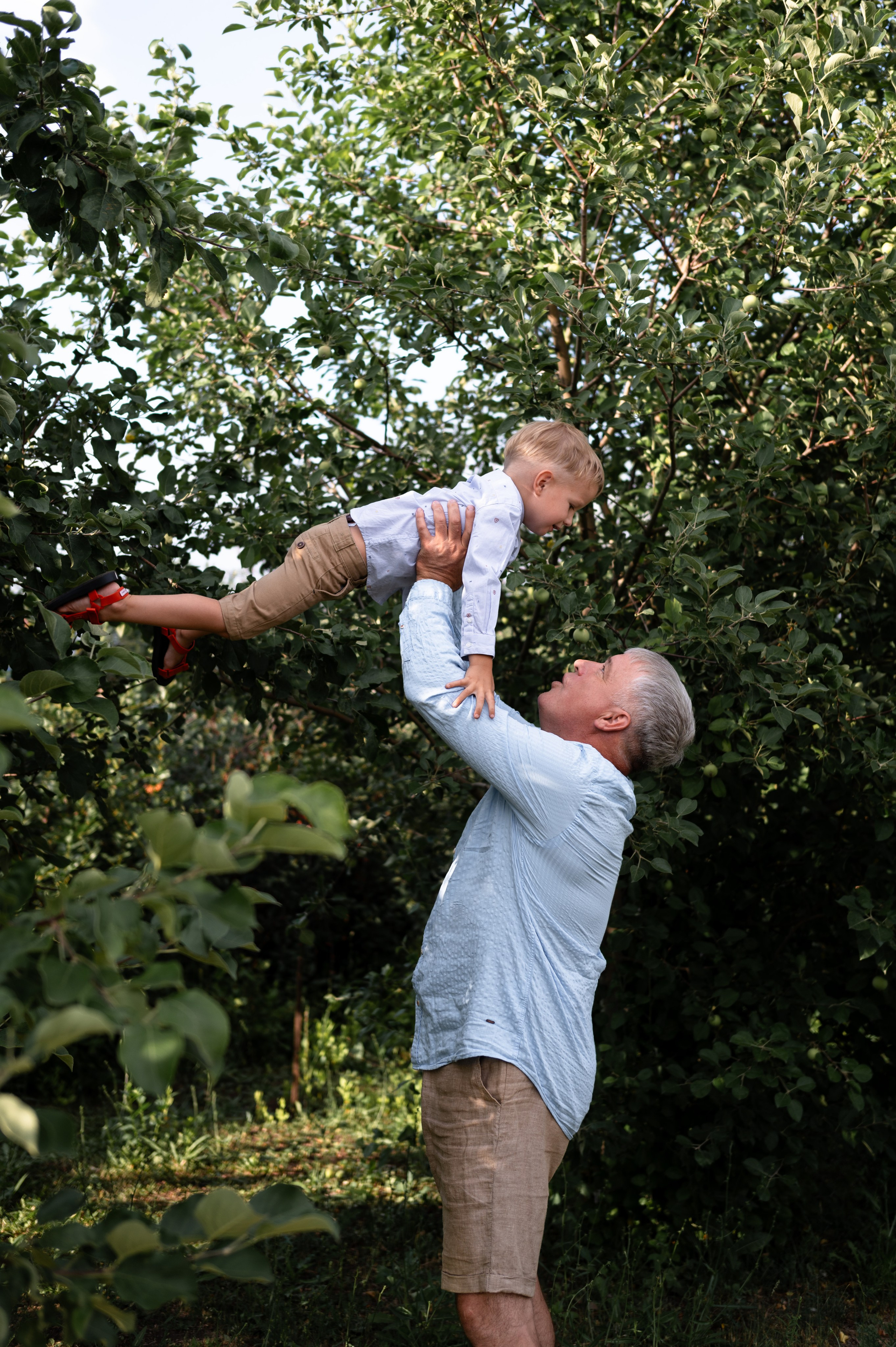 Ромашки и утята. Главная