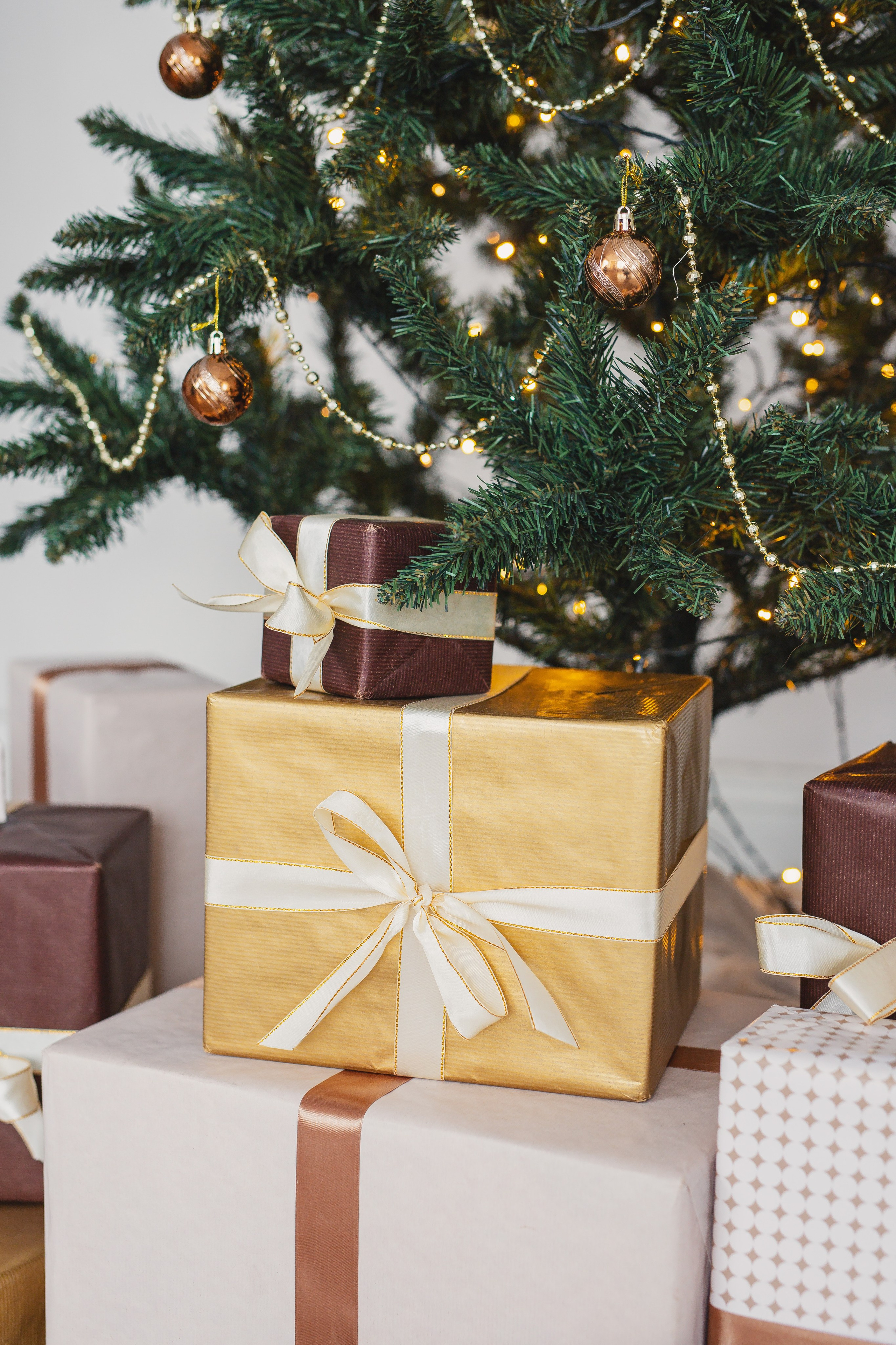 Виктория и Игорь. Фотограф Анастасия Петрова