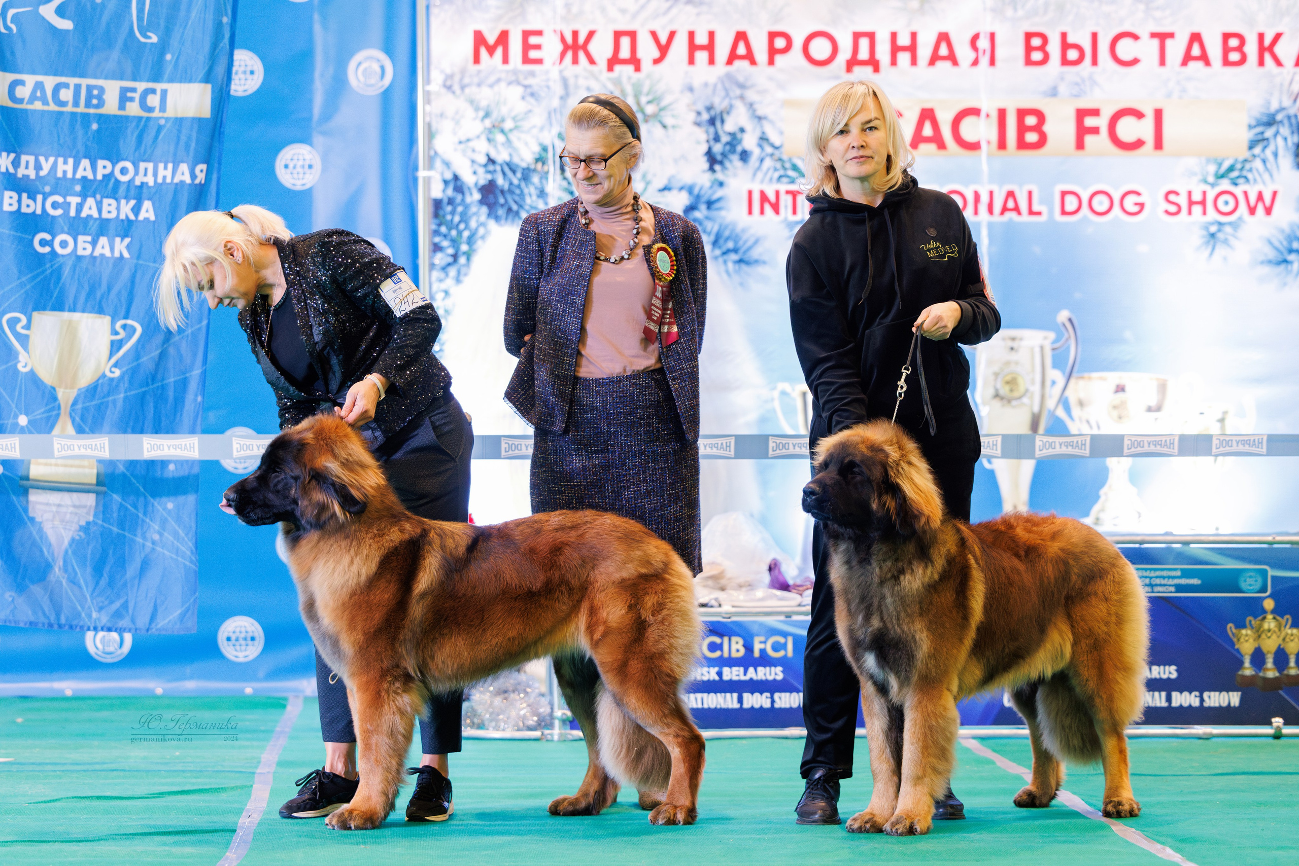 Минск 23.11.2024. Фотограф-анималист Юлия Германика