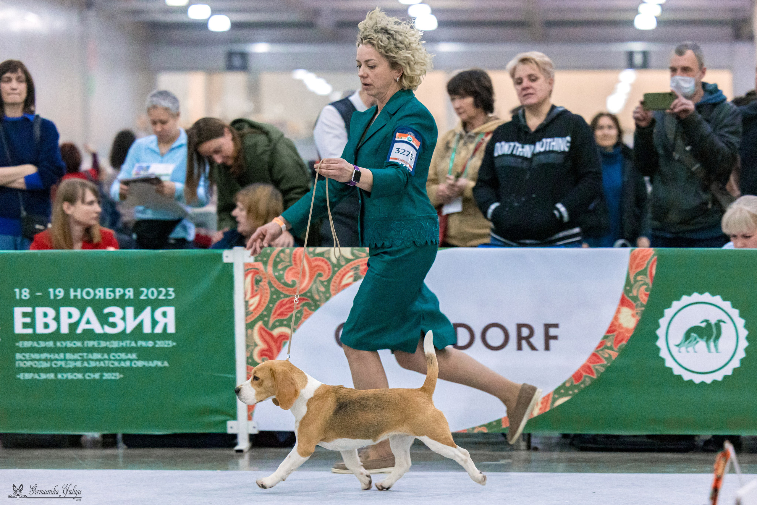 ЕВРАЗИЯ 18-19.11.2023. Фотограф-анималист Юлия Германика