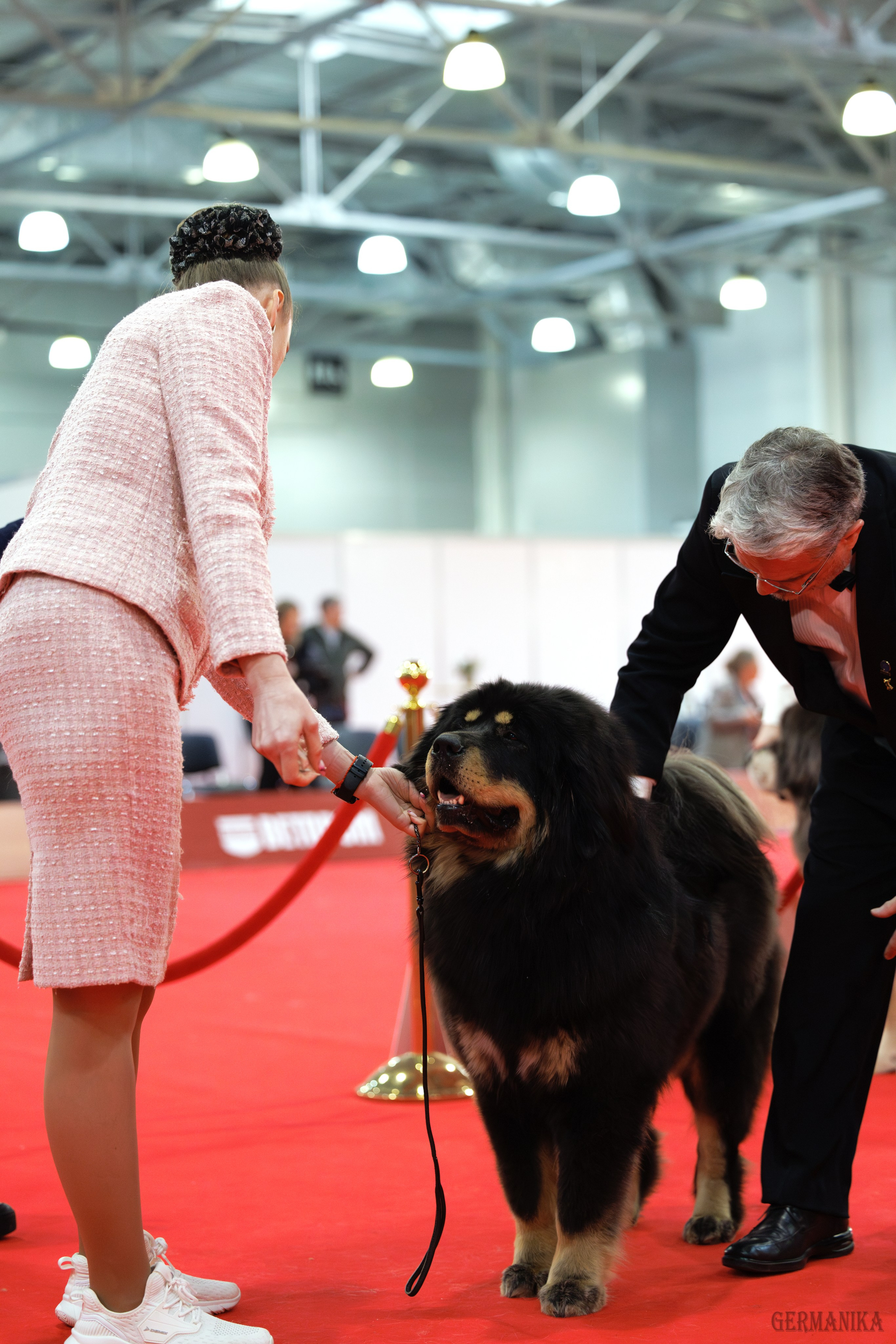 Лучшие Собаки России 17-18.02.2024. Фотограф-анималист Юлия Германика