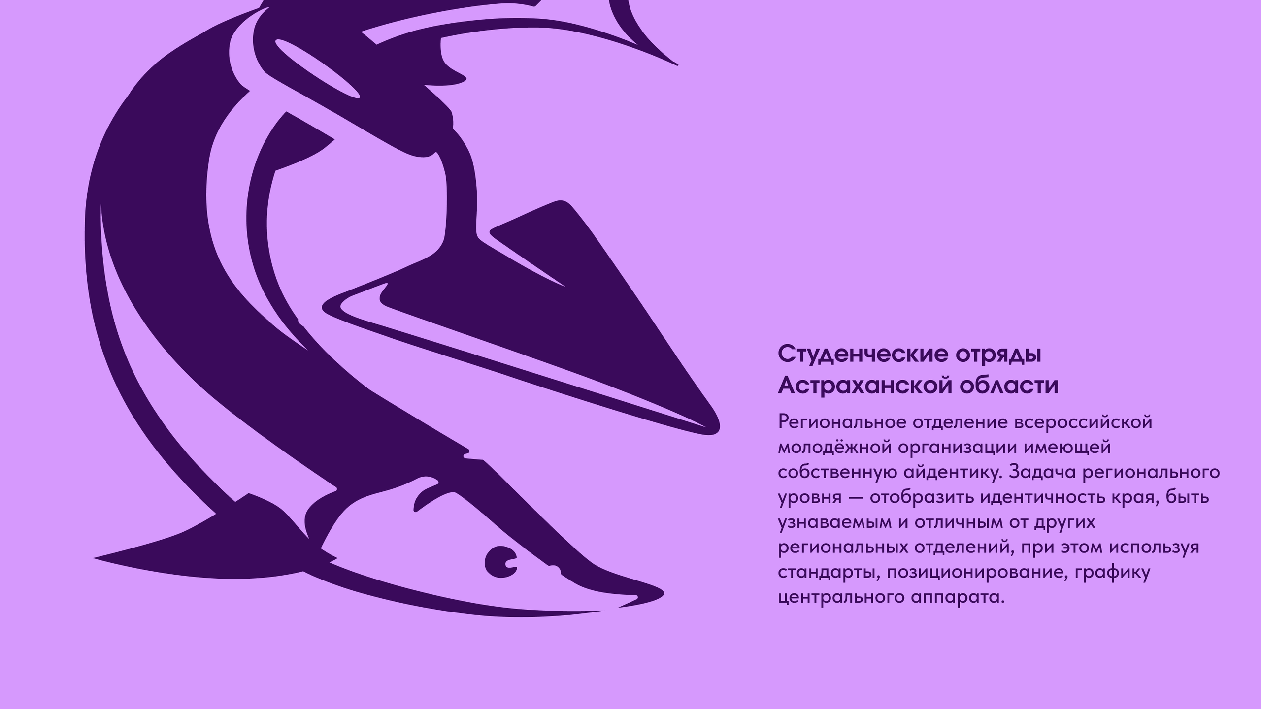 Молодежная организация (НКО). Саитова Ирина