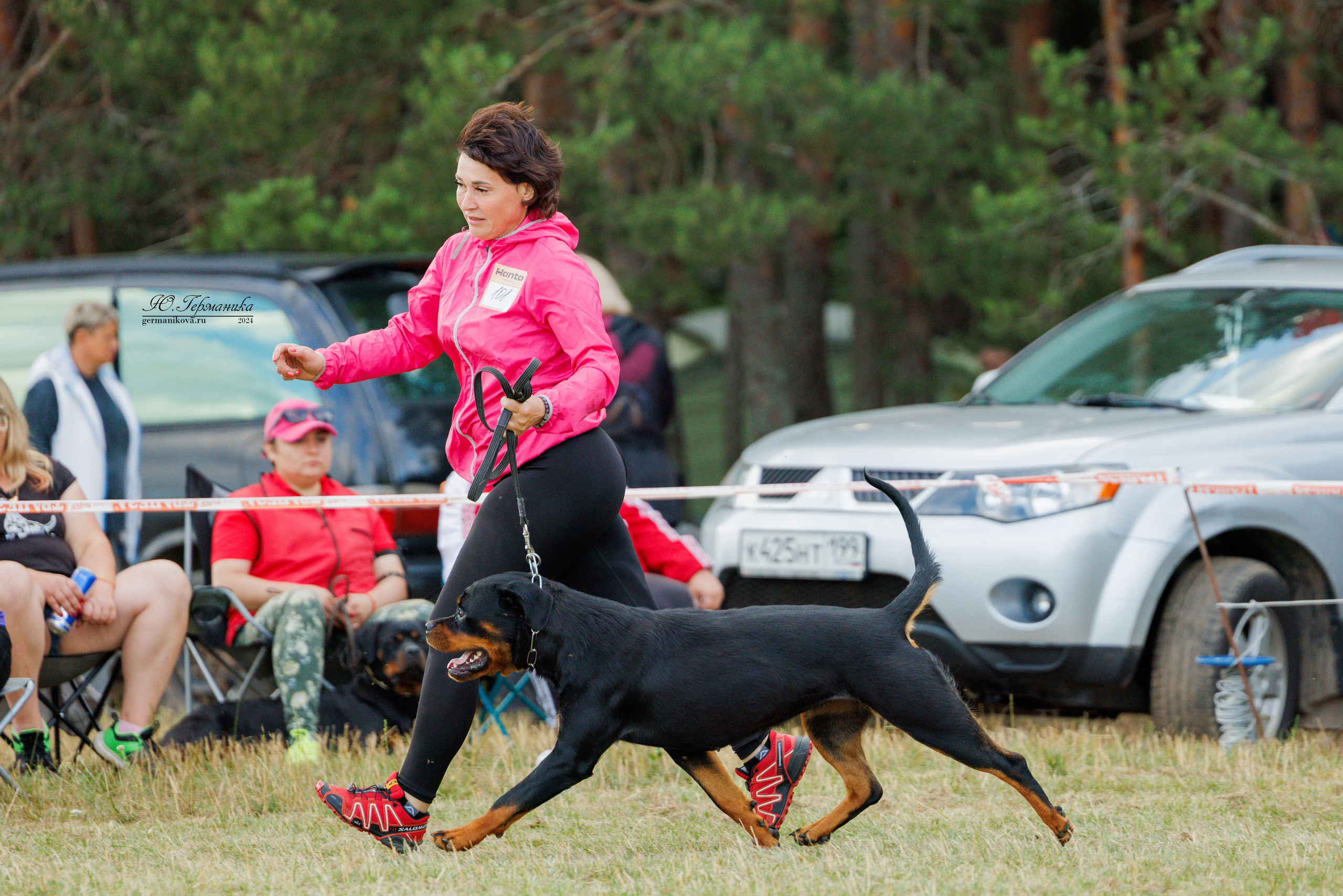 ПК и КЧК ротвейлеры Тверь 6-7.07.2024. Фотограф-анималист Юлия Германика