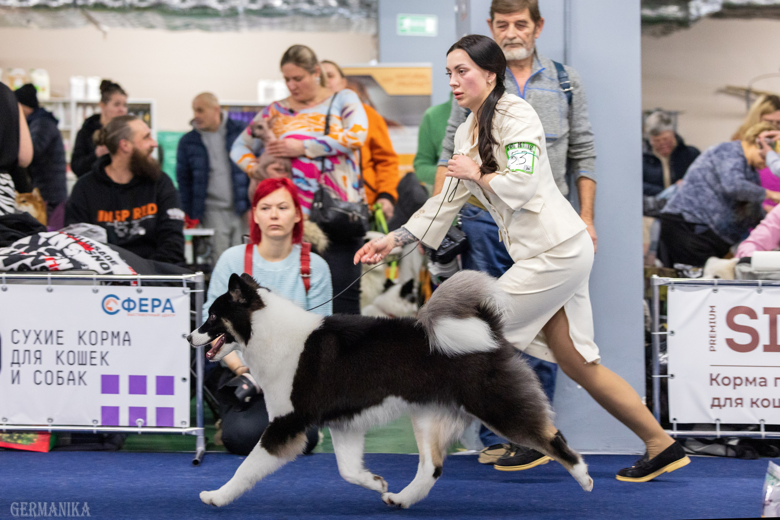 Крокус 10.02,Сфера 11.02.2024. Фотограф-анималист Юлия Германика