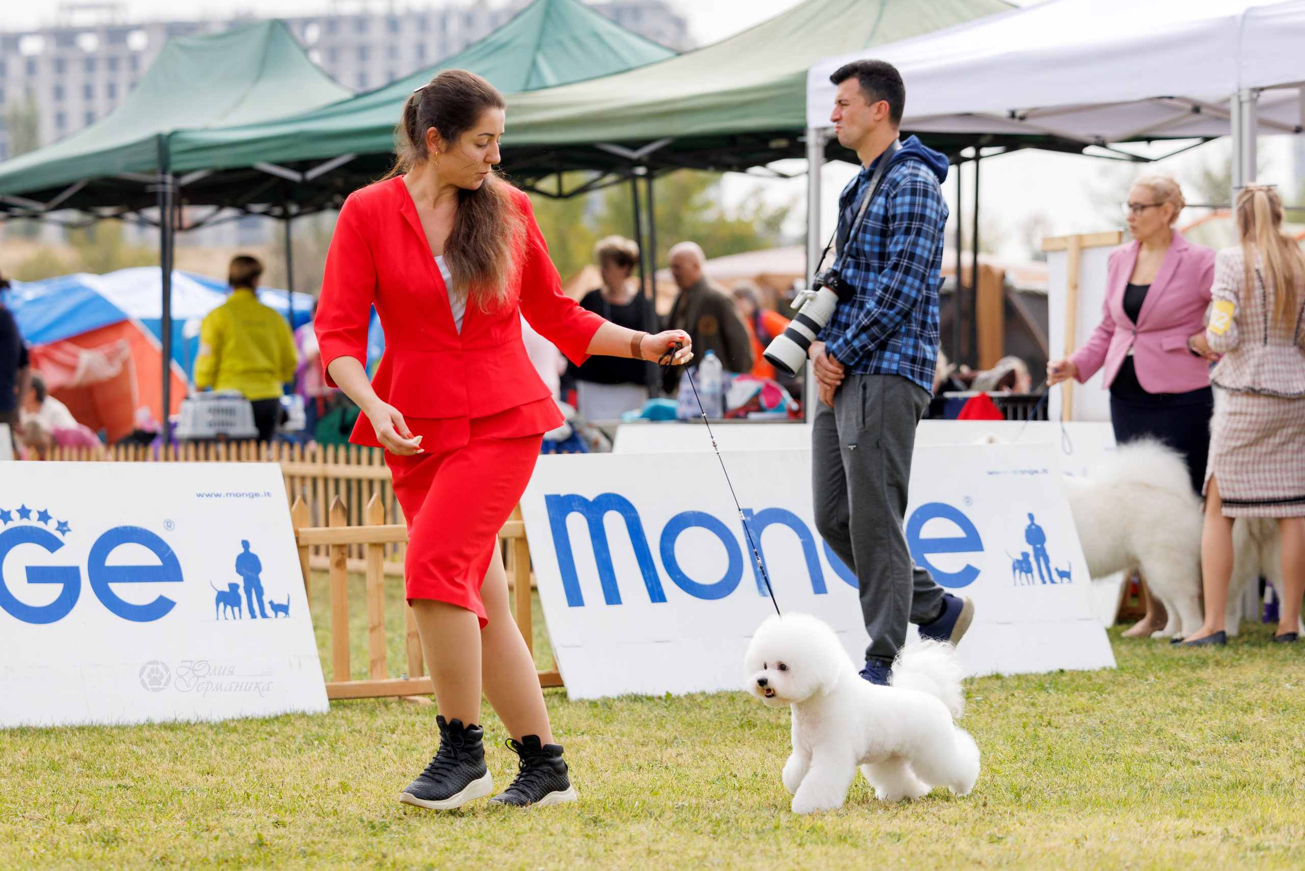 Армения,Ереван 3хCACIB 15-17.10.2024. Фотограф-анималист Юлия Германика