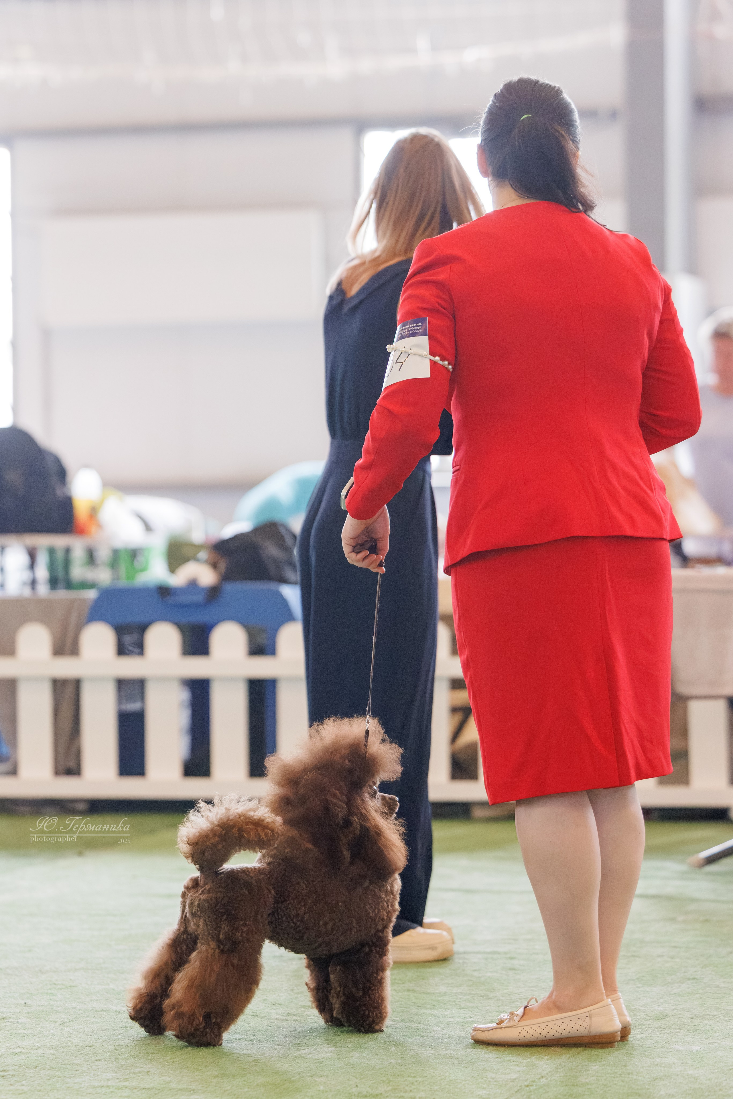 Батуми 3хCACIB 27-29.06.2025. Фотограф-анималист Юлия Германика