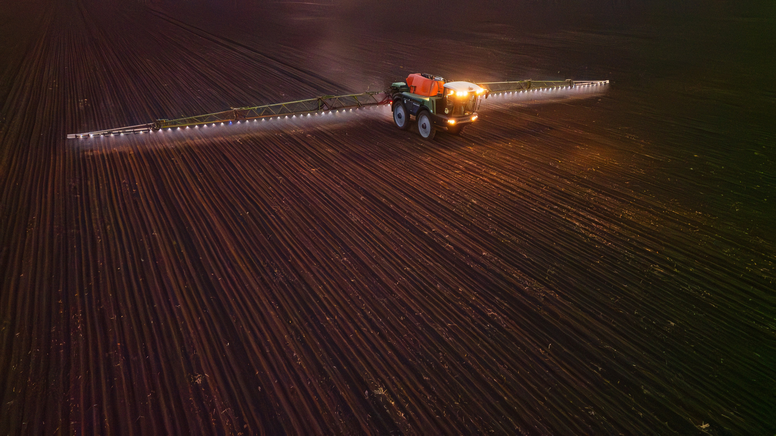 Проекты. Профессиональный фотограф Вячеслав Плацында | Липецк |