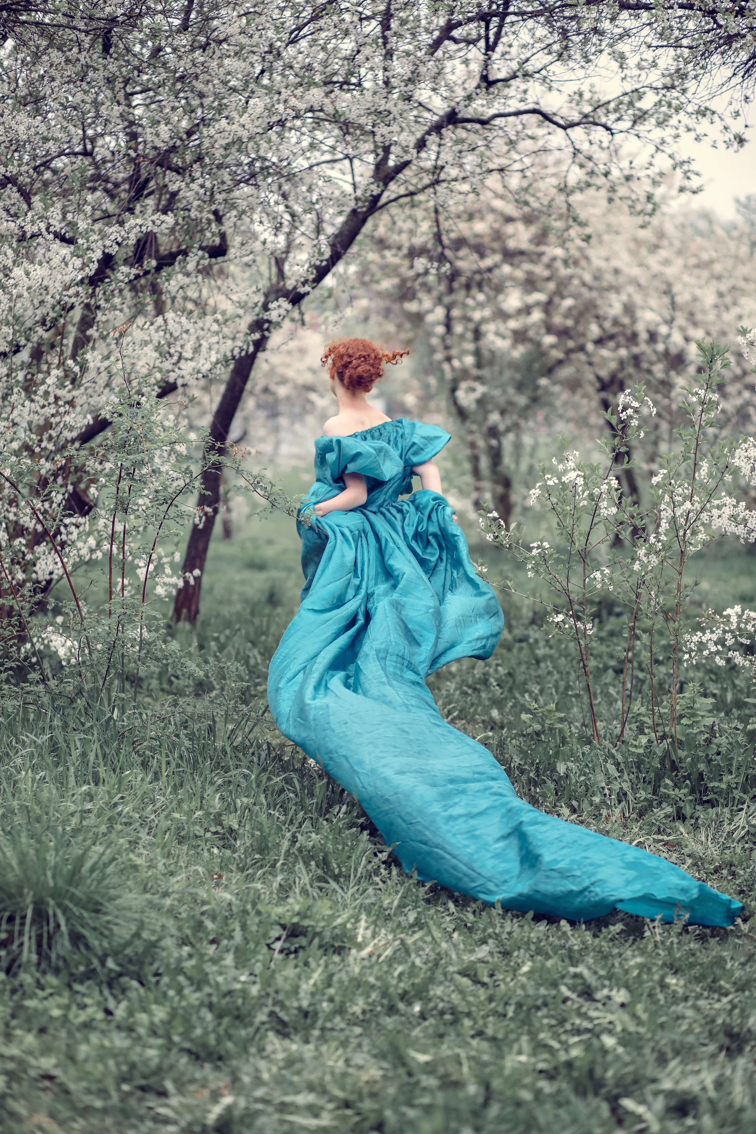 Цветение. Дударева Наталия фотограф Москва