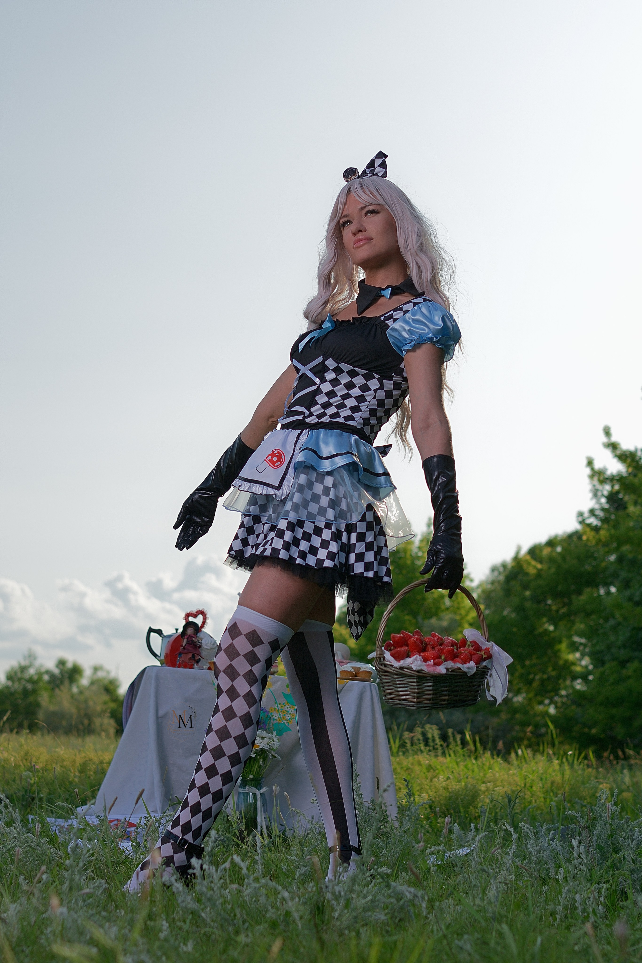 Алиса в стране чудес. Фотосъемки в Сызрани. Портретная фотосъемка. Арт-студия "Мастер и Маргарита". Фотограф Кищенко Дмитирий.