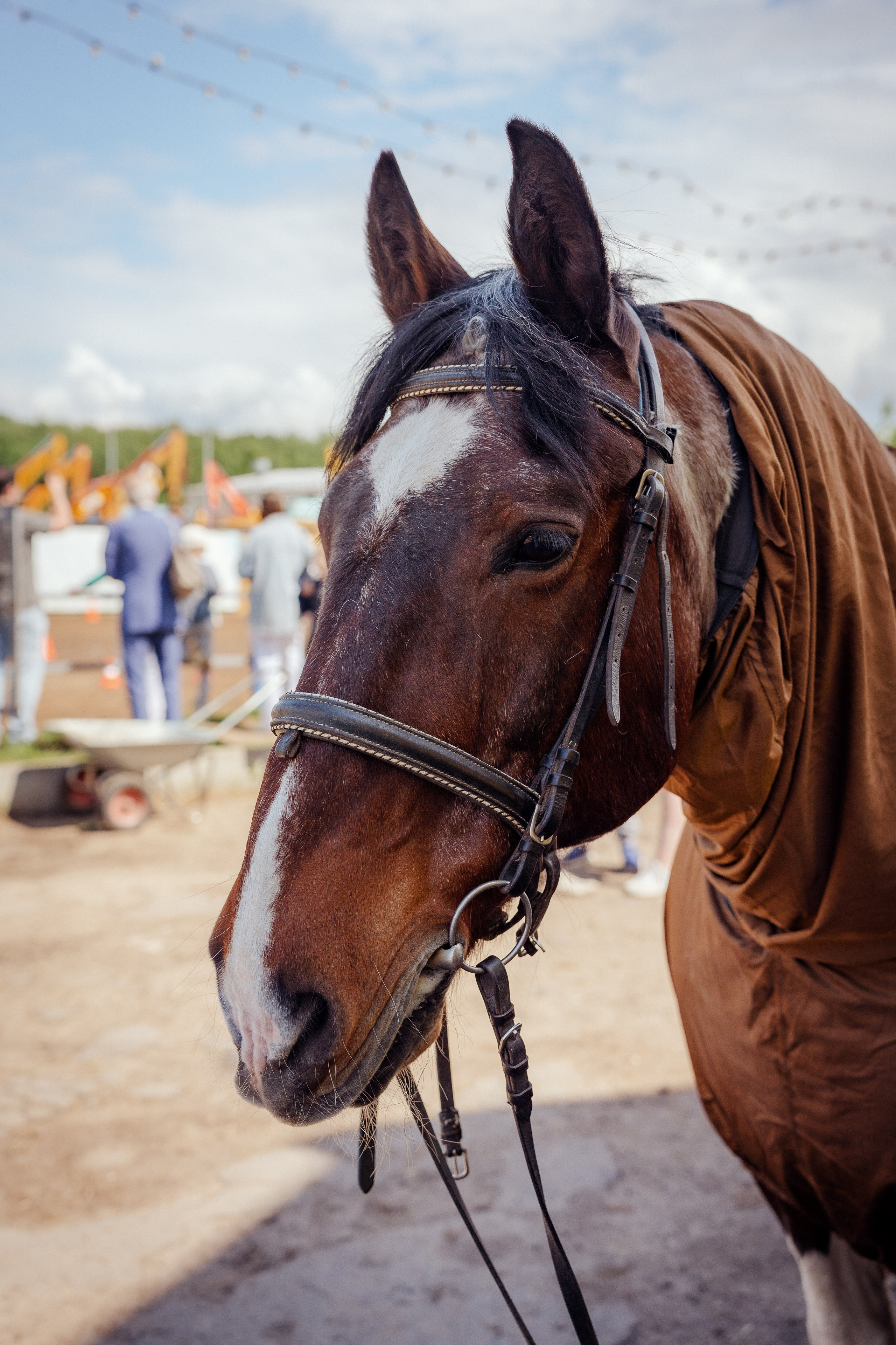 Конный клуб Горки. Портретный и семейный фотограф в Москве/Видное