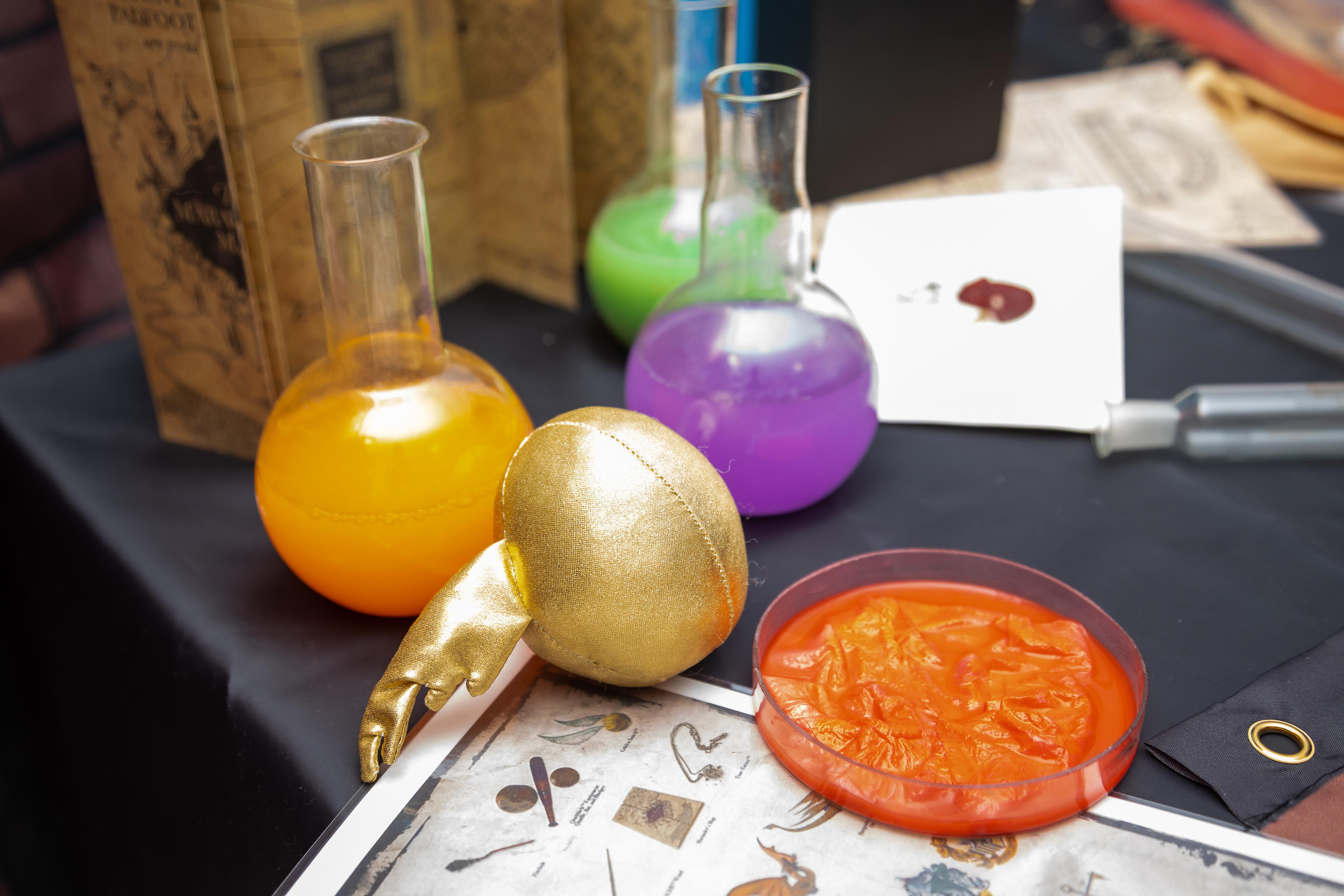 Детский праздник в стиле Гарри Поттера. Свадебный фотограф в городе Подольск МО и Москва Крылова Ирина