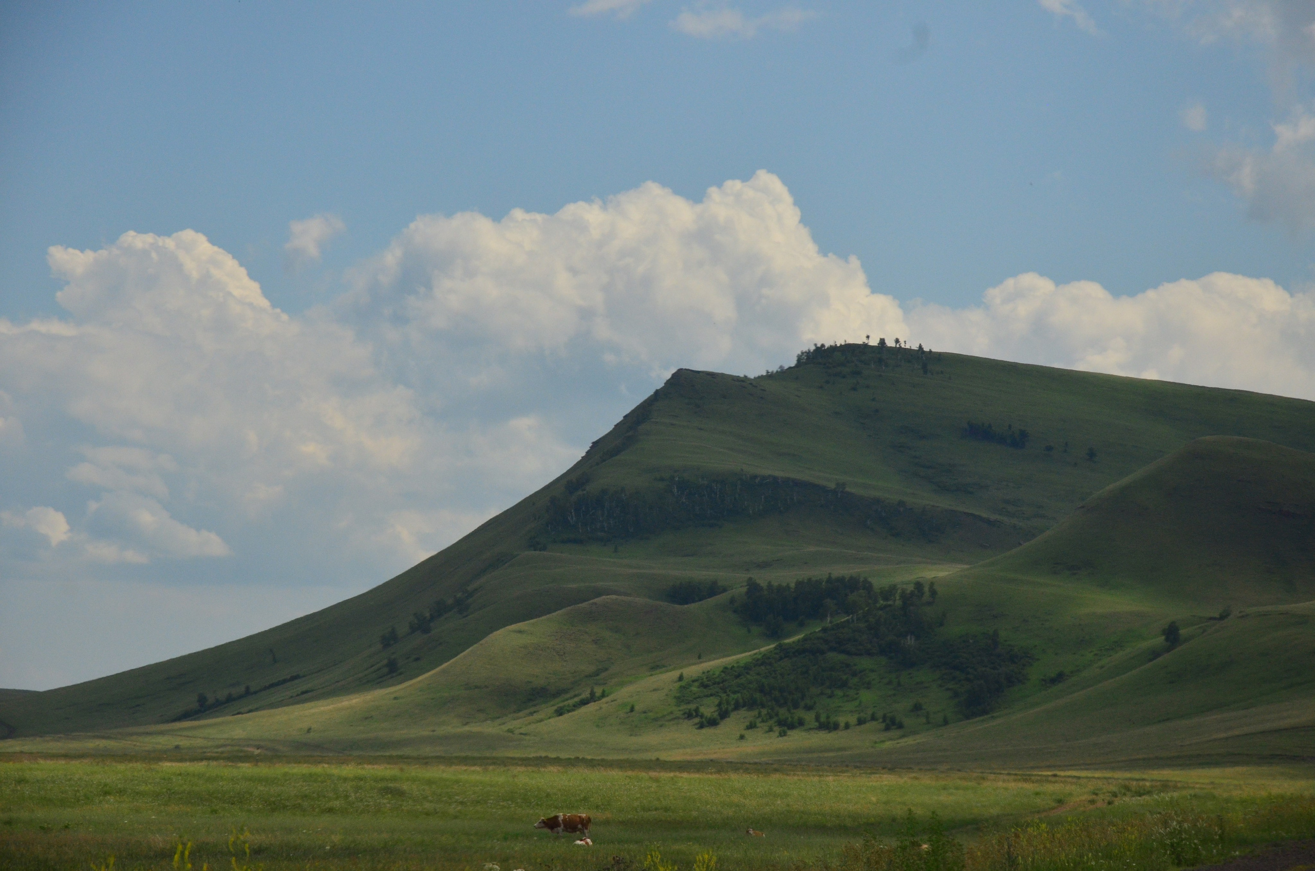 Дары природы. Фотограф viktor viktor