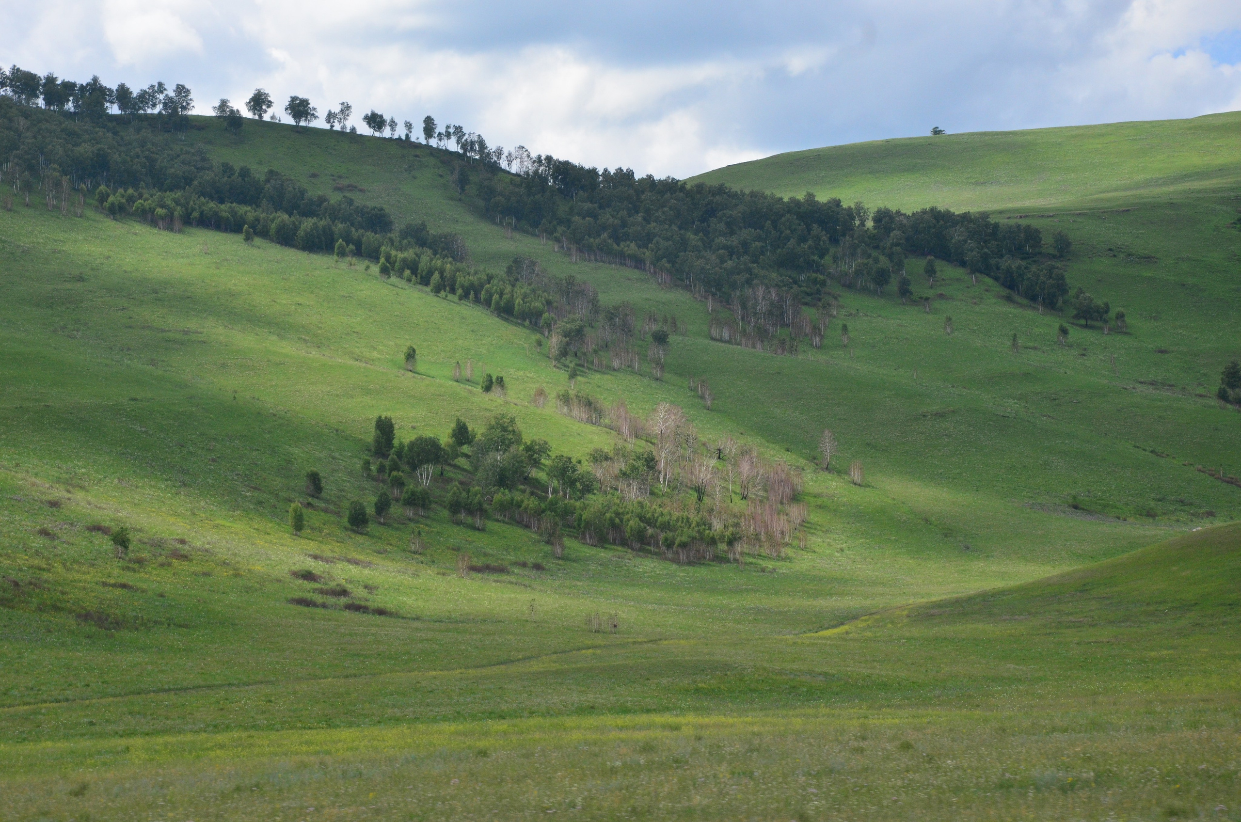 Дары природы. Фотограф viktor viktor