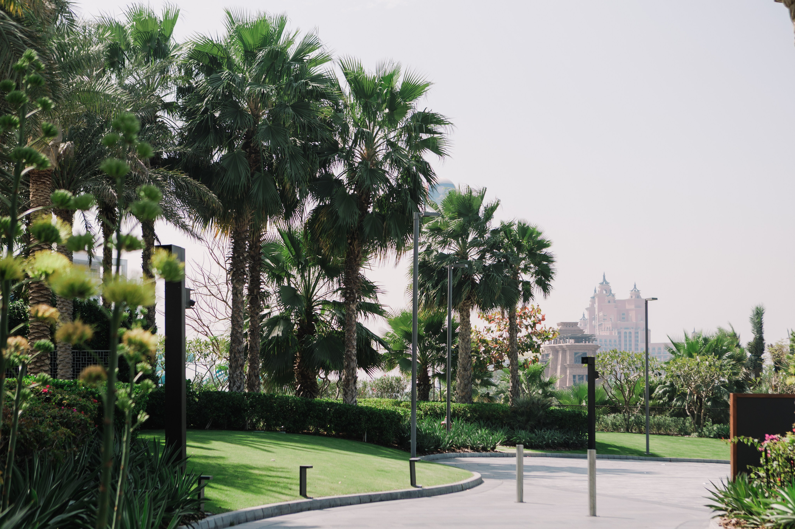 Wedding Atlantis. Valery Litvinova Photography