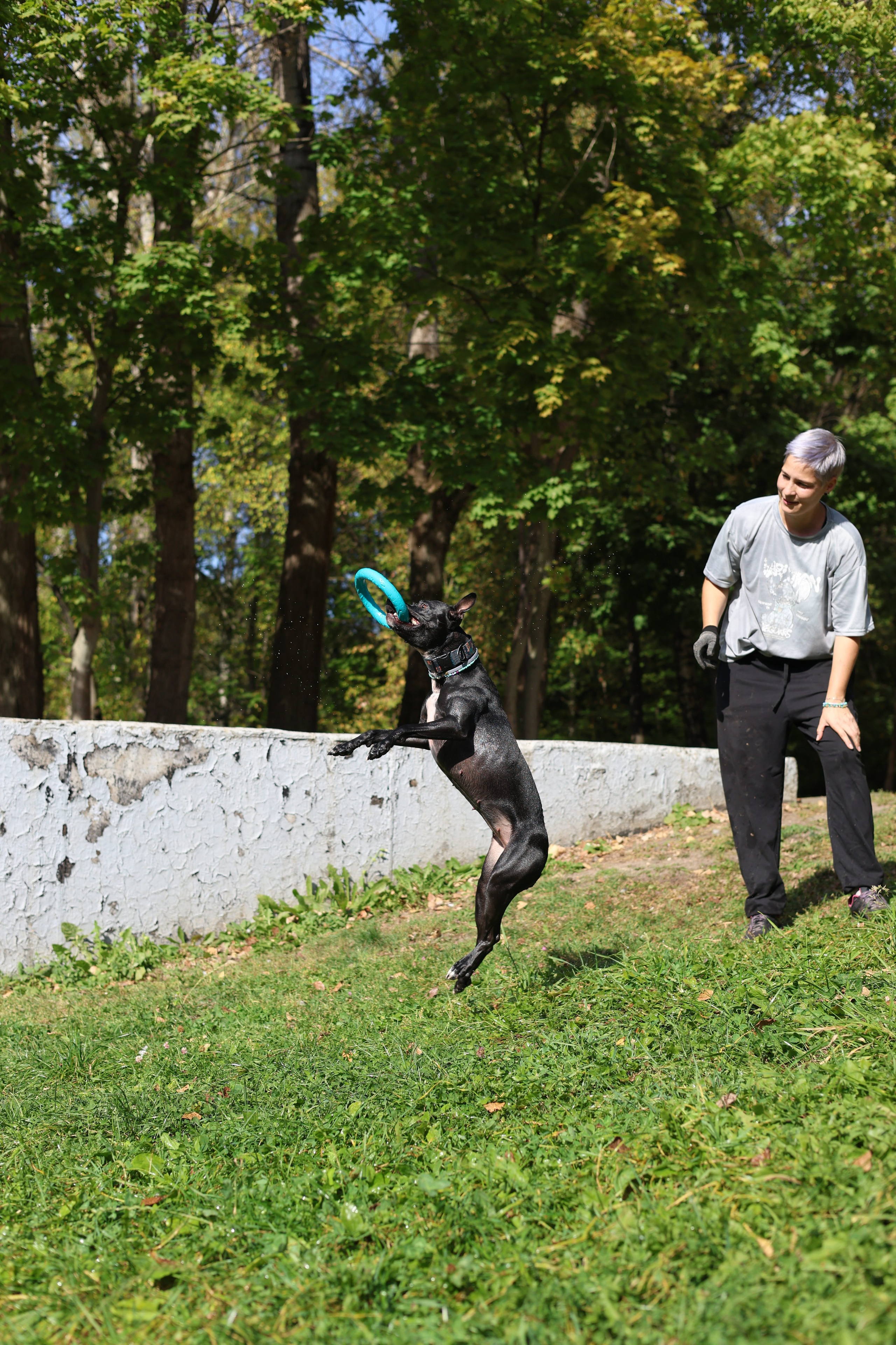 Алена и Бора. Виктория Михайловская. Фотограф-анималист. Москва