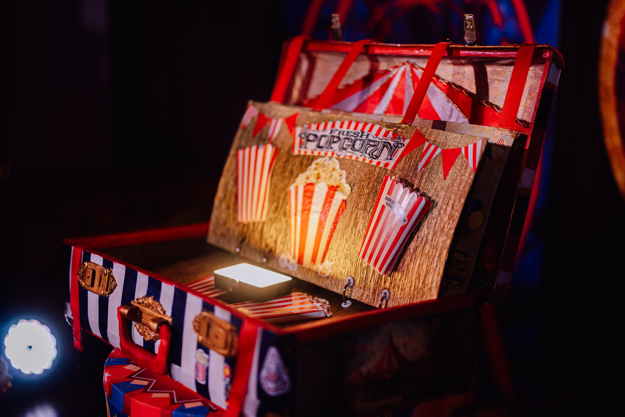 Аниматоры. Свадебный и семейный фотограф в Рязани Датская Ксения