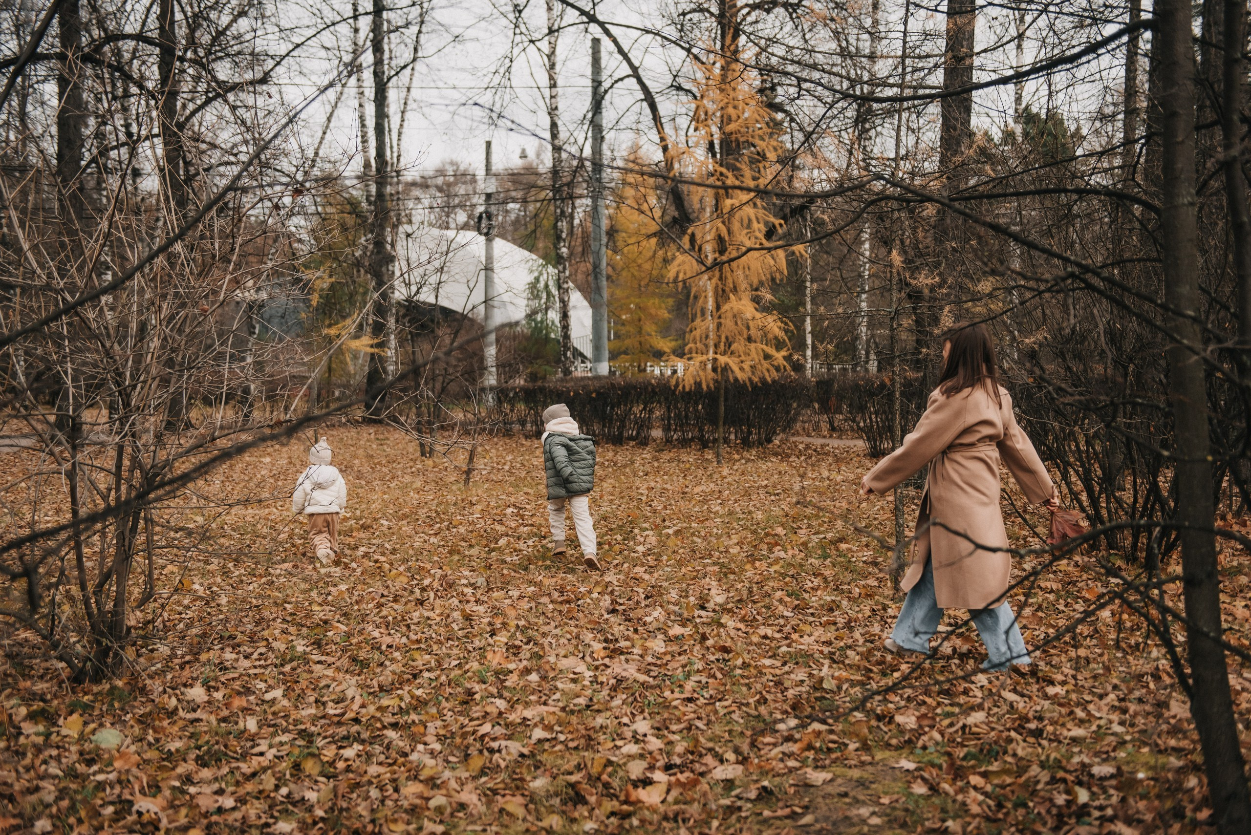 Осень. Фотограф Родионова Екатерина в Москве и Оренбурге