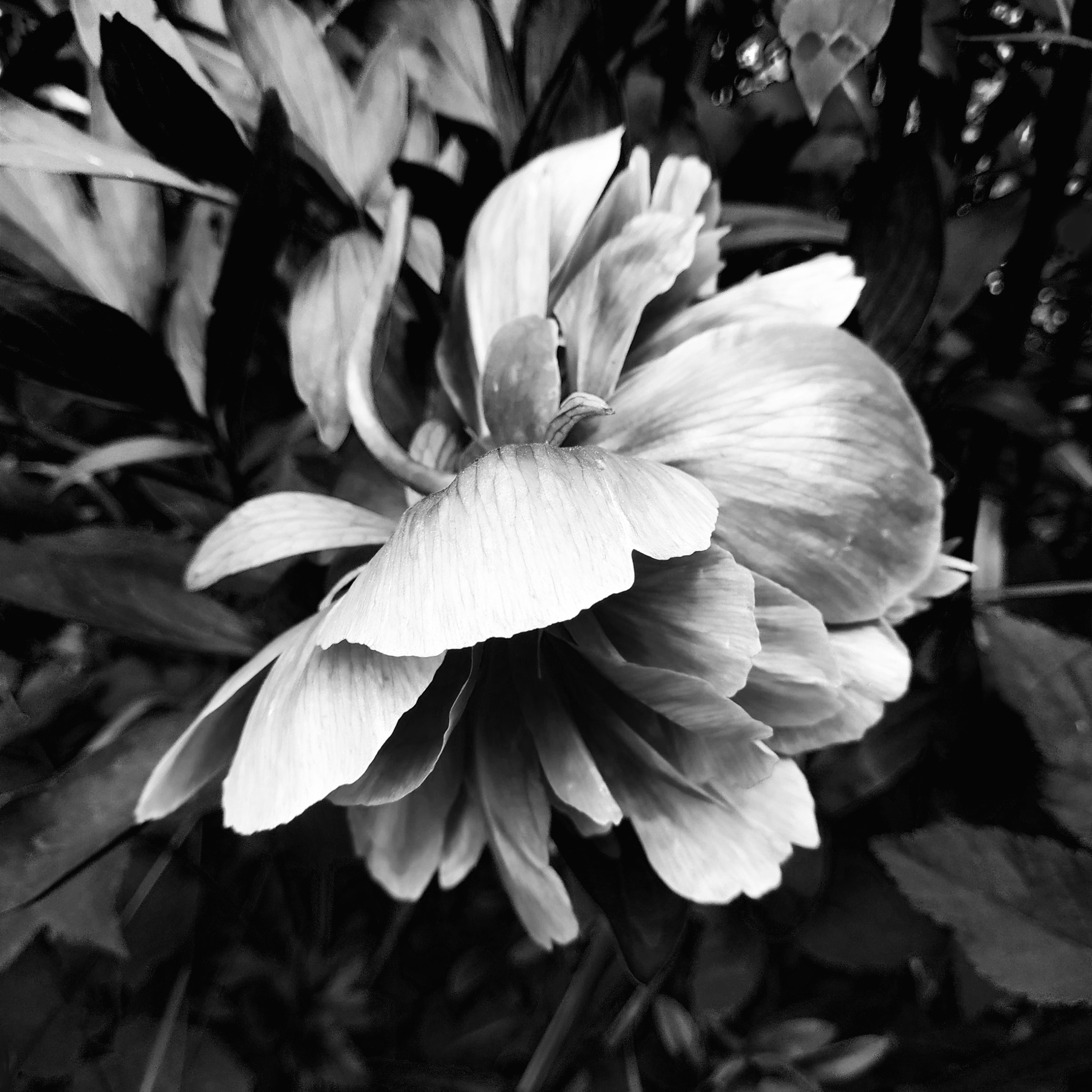 Природа. Настасья Проценко. Фотограф