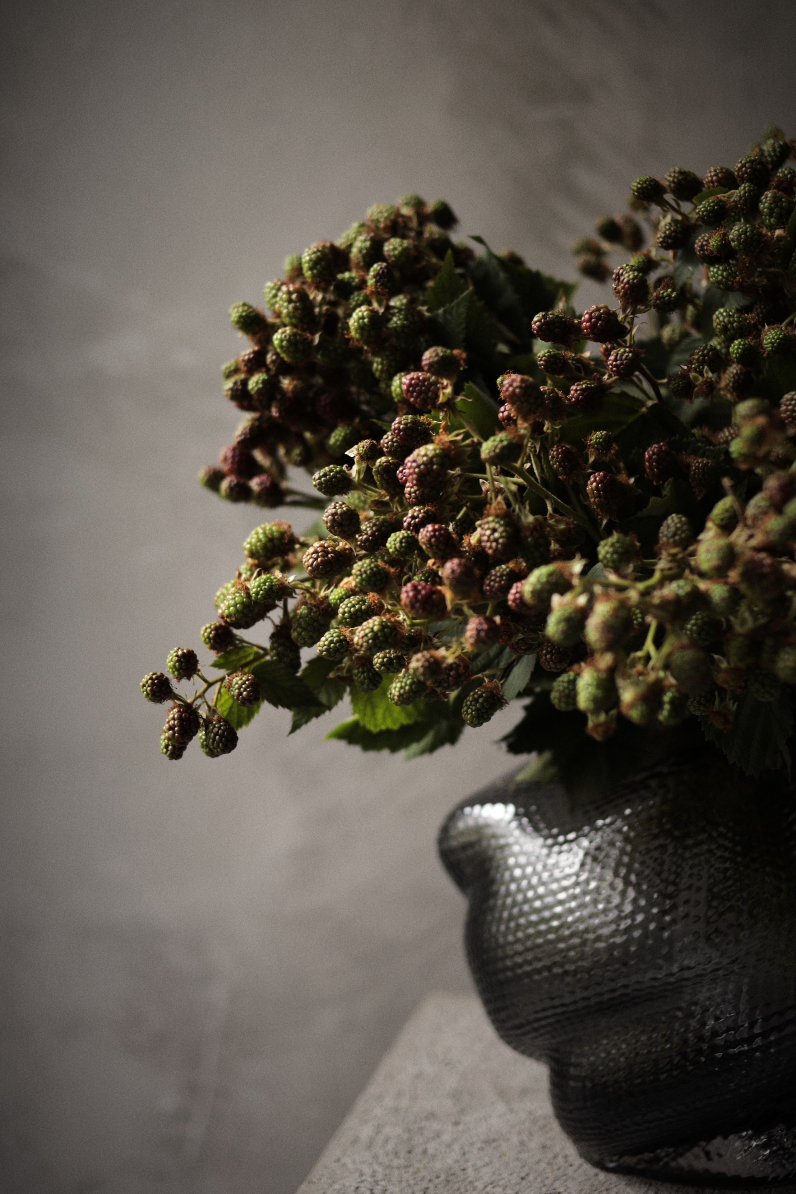 Flowers. Виктория Калугина — фотограф и видеомейкер в Москве