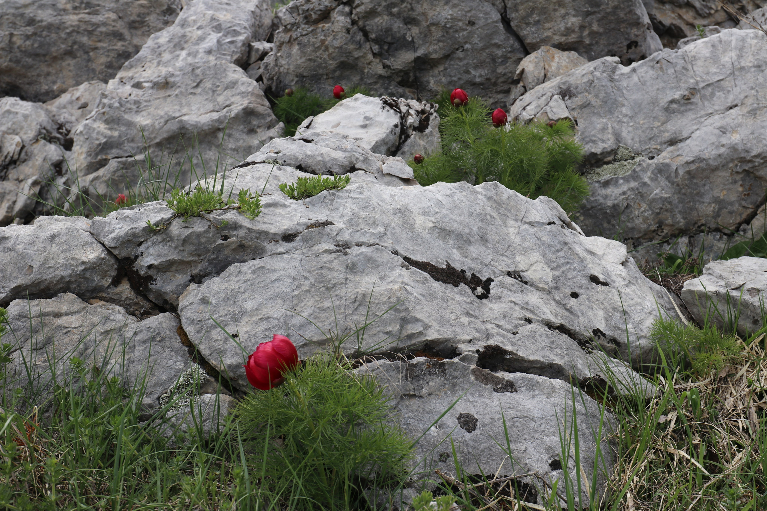 Крым. ЮБК (Бахчисарай, Демерджи, Судак). Первый скалолазный выезд. Май 2019. Путешественник-фотограф из Санкт-Петербурга Татьяна Свистулина