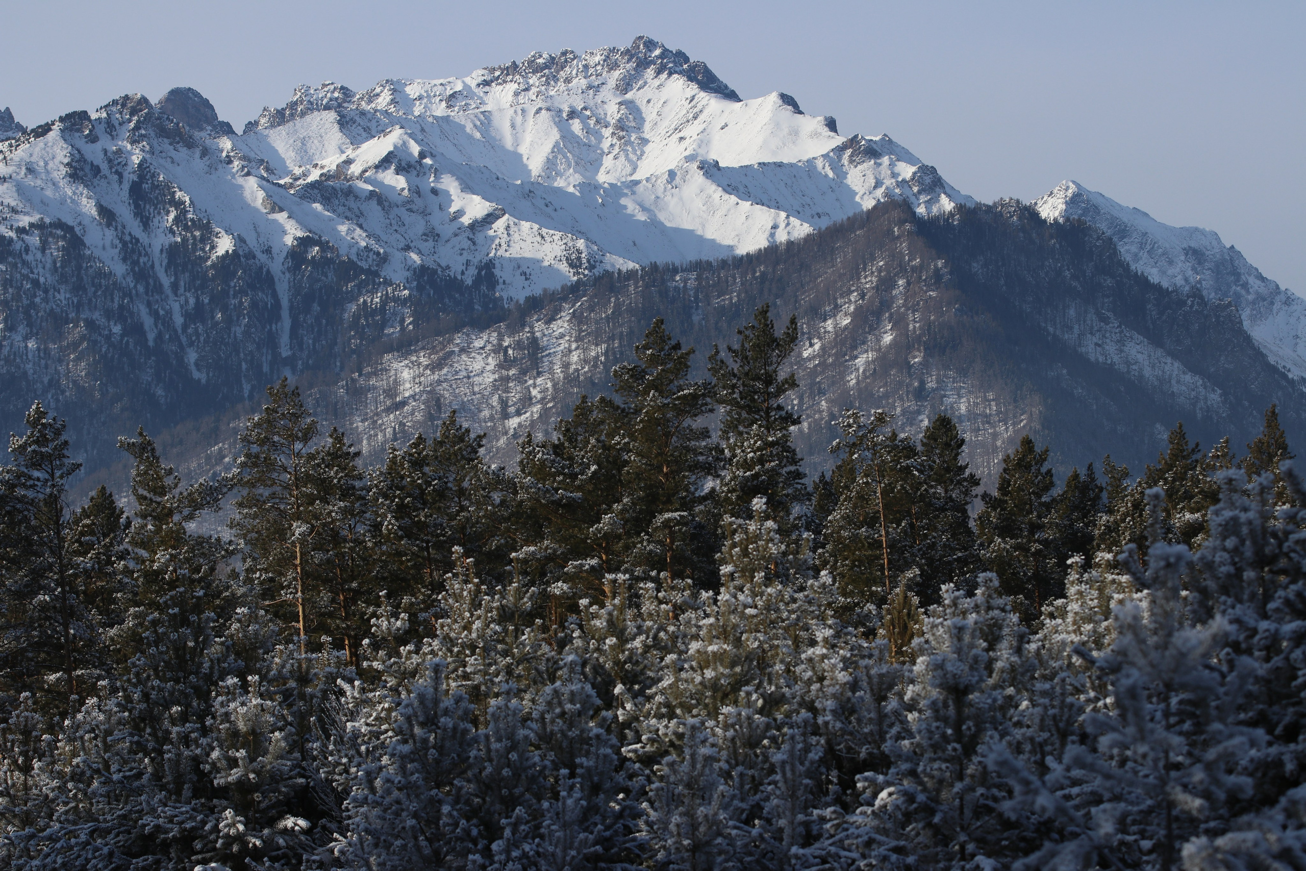 Аршан. Январь 2024. Путешественник-фотограф из Санкт-Петербурга Татьяна Свистулина