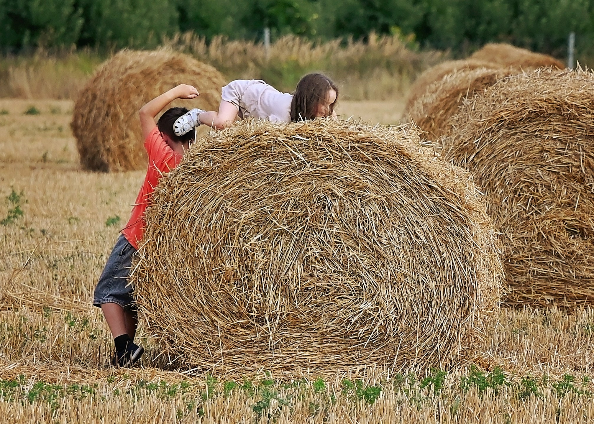 Сено. Главная