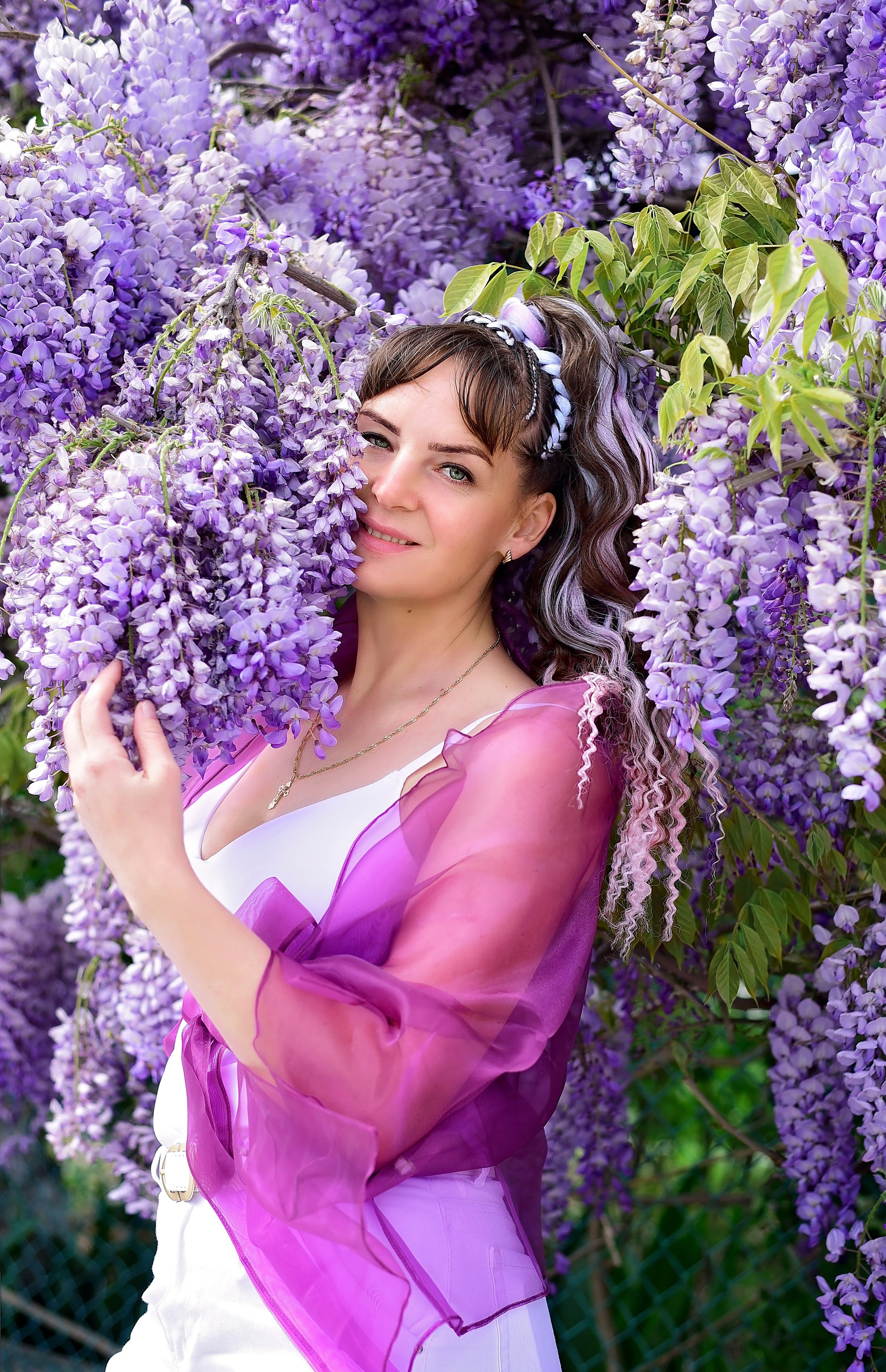 Глициния. Главная