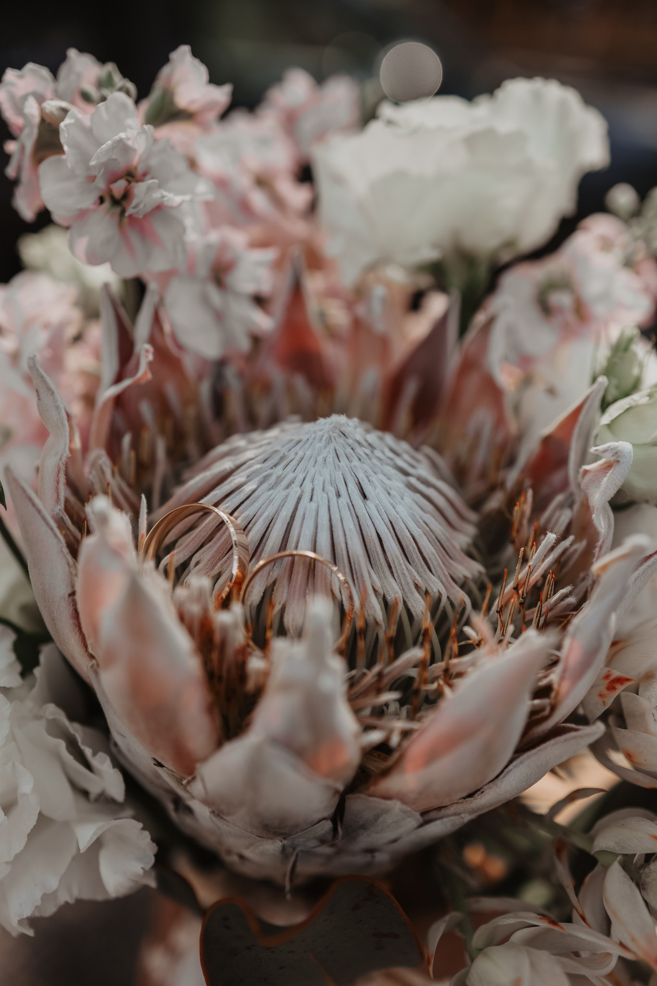 Константин и Полина. Фотограф и видеограф в Москве Полина Абраменкова