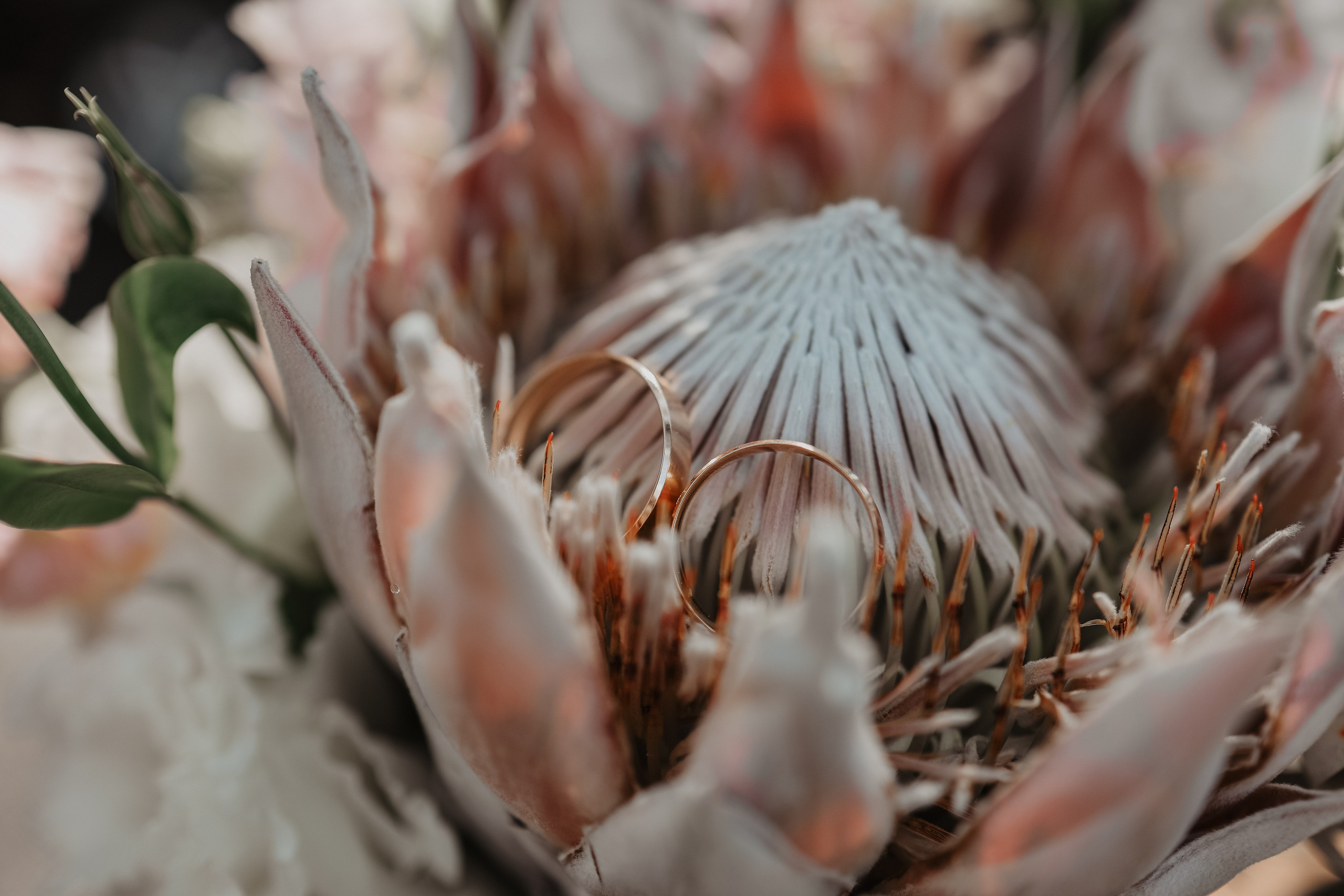 Константин и Полина. Фотограф и видеограф в Москве Полина Абраменкова