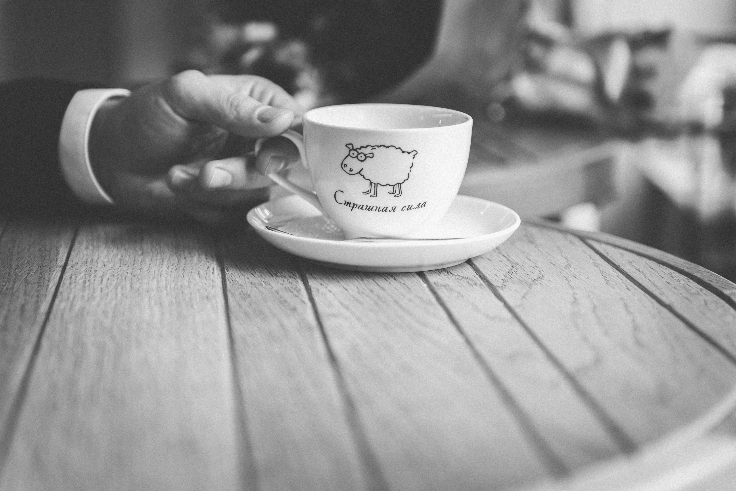 Свадьба для любителей ч/б фото. Артем и Айна. Свадебный и семейный фотограф София Невская