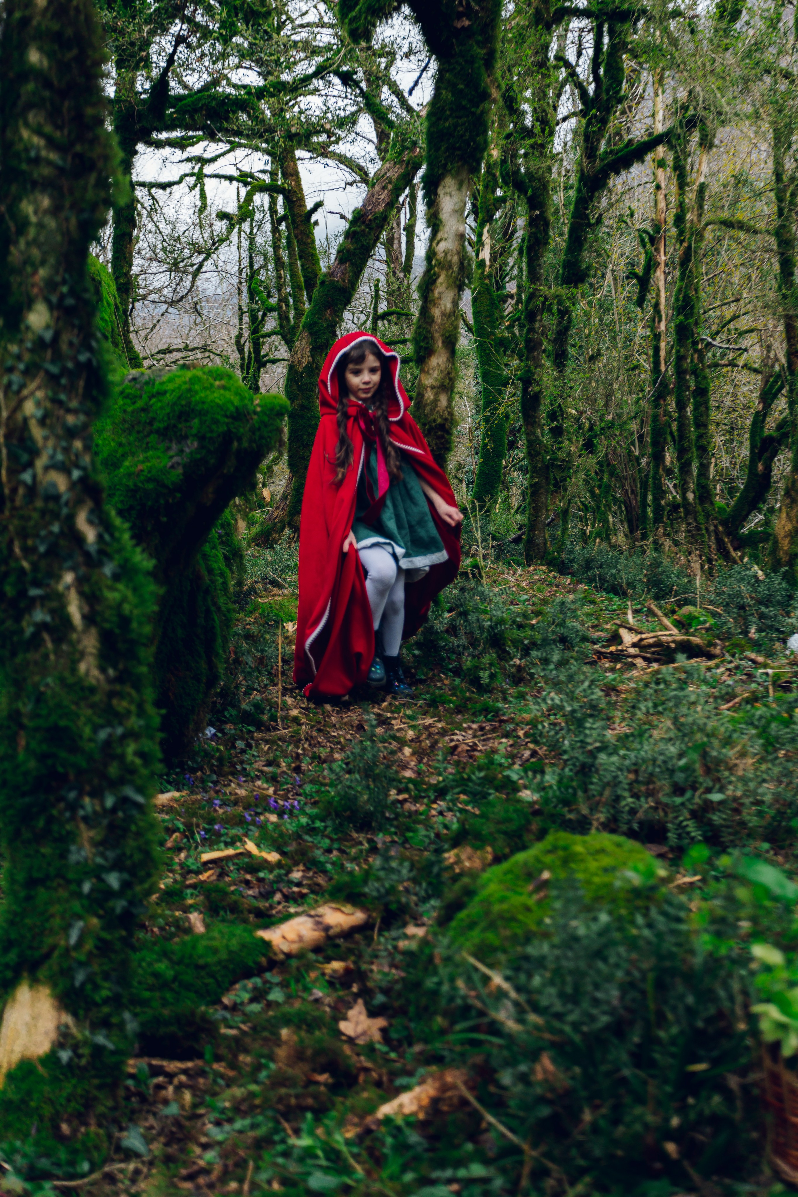 Самшитовая роща. Семейный и художественный фотограф в Тюмени Юлия Логинова