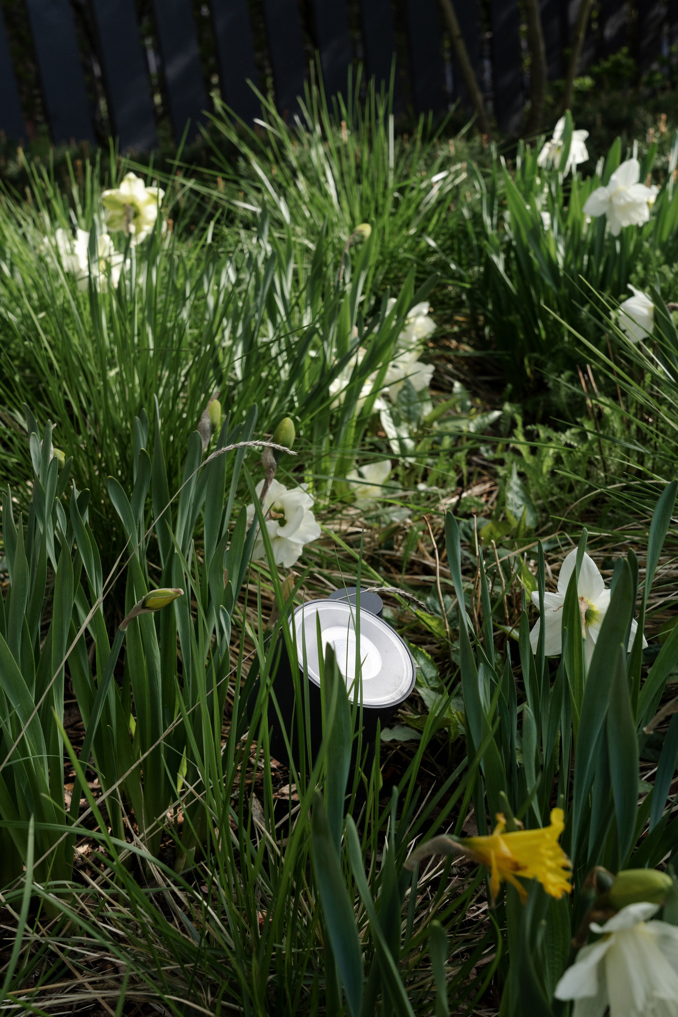 Blooming in the garden, Moscow region. Артамонов Александр | Архитектурный и ландшафтный фотограф