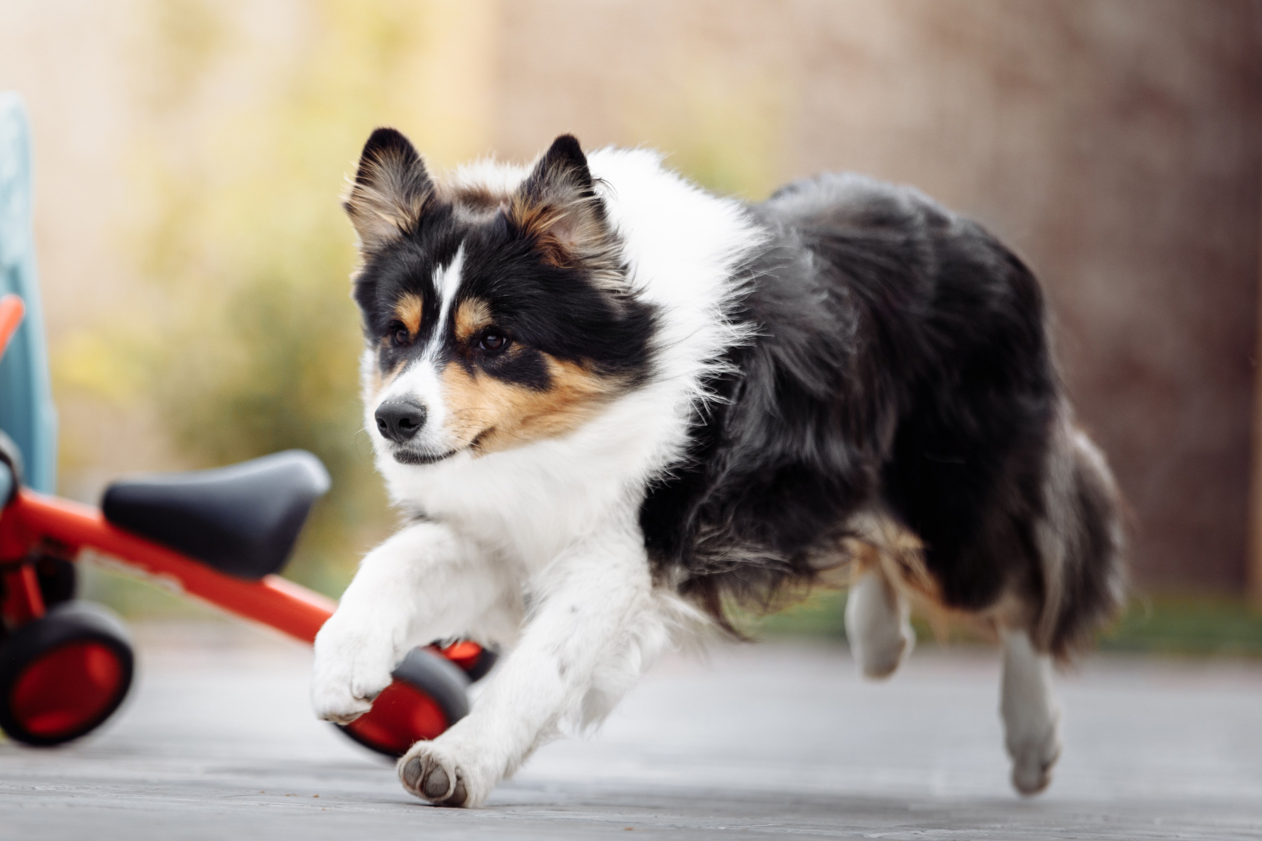 Свое место. О нас