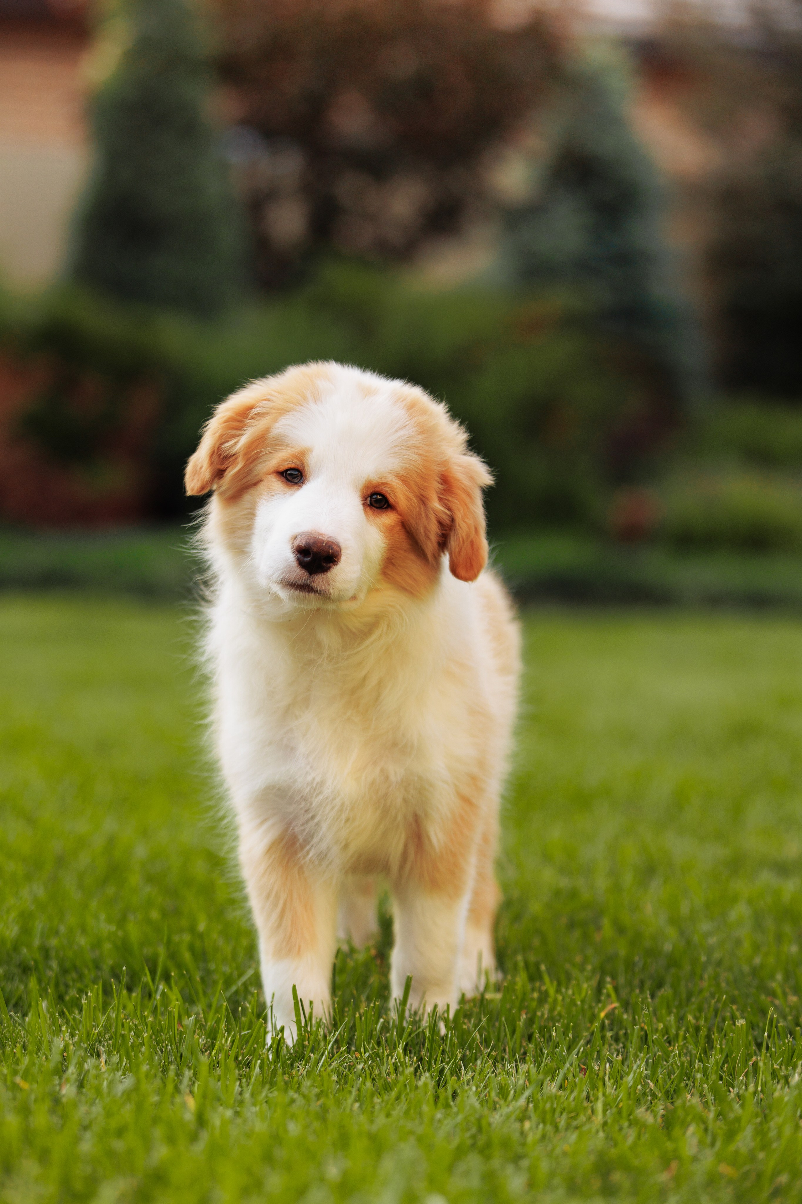 СОлнечные. О нас