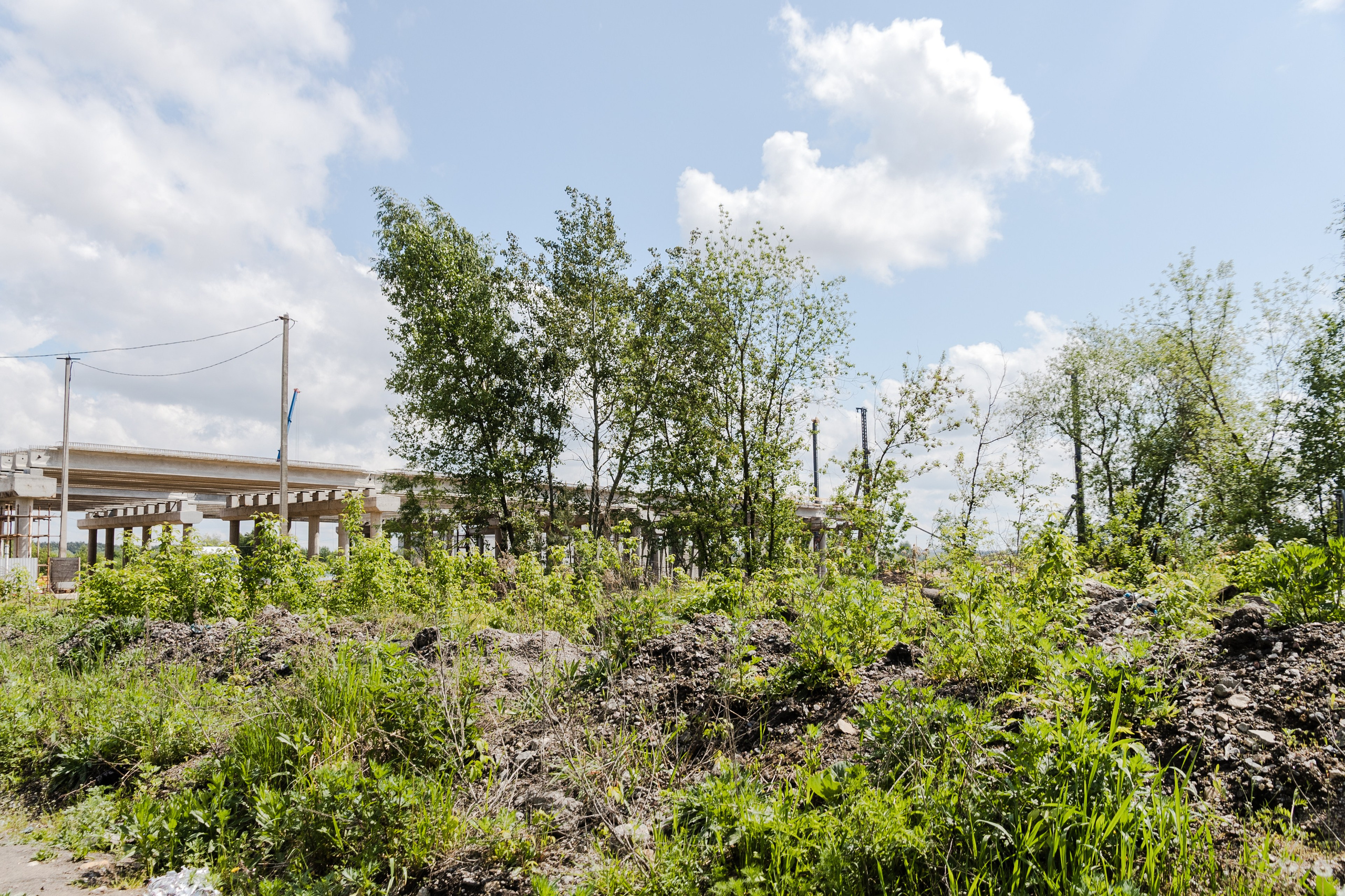 Открытый мир. DASHA KALNINA