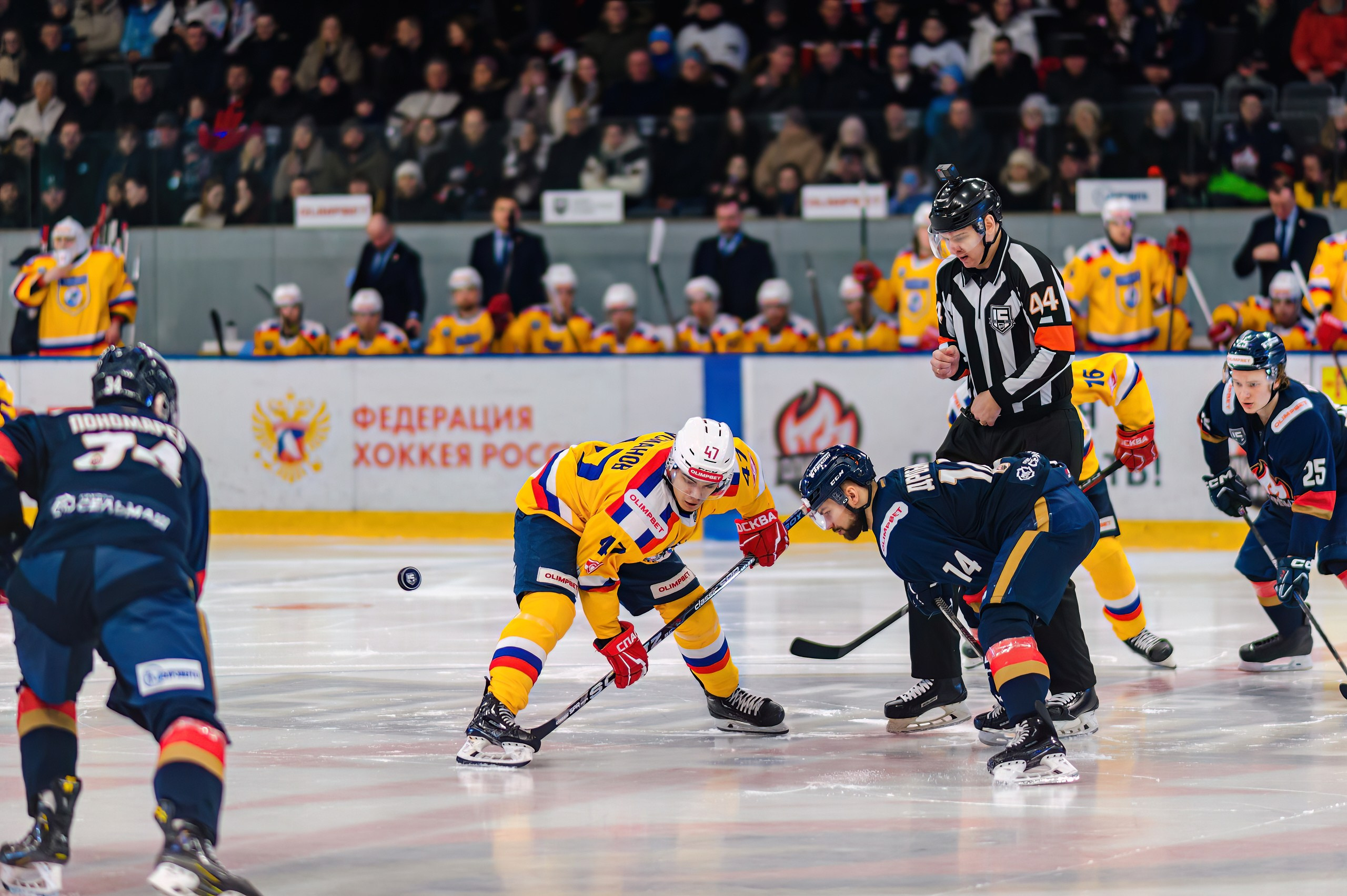 Хоккей с шайбой. Спортивный фотограф Иван Молот (Киров)