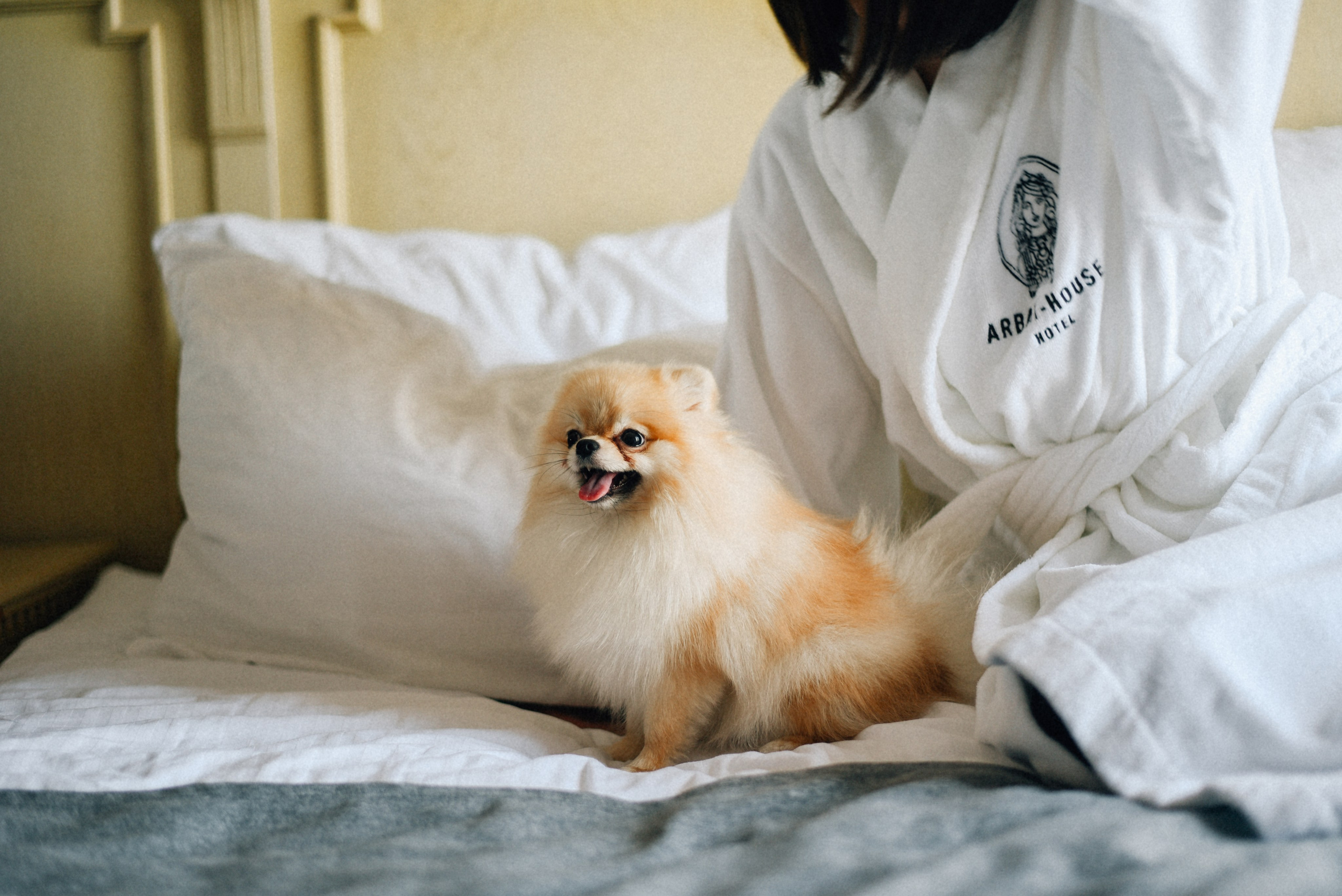 ARBAT HOUSE HOTEL. Фотограф Лола Волна, город Москва