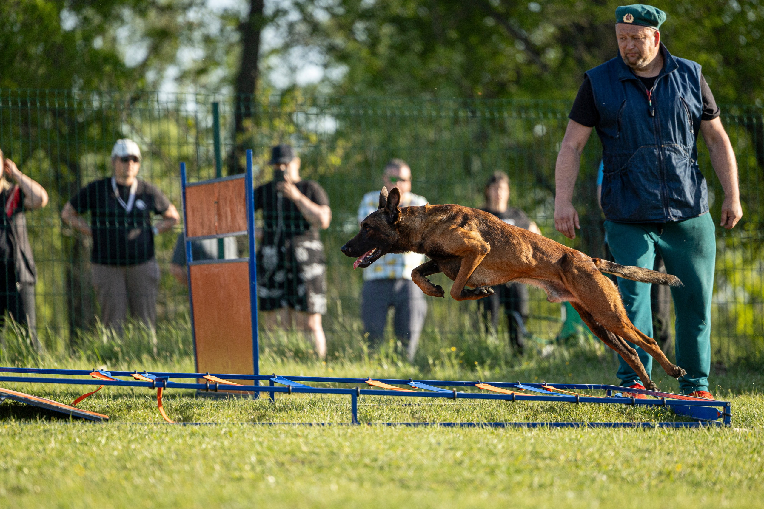 Испытания по мондьорингу в Нижнем Новгороде. Фотограф-анималист Анна Маринич