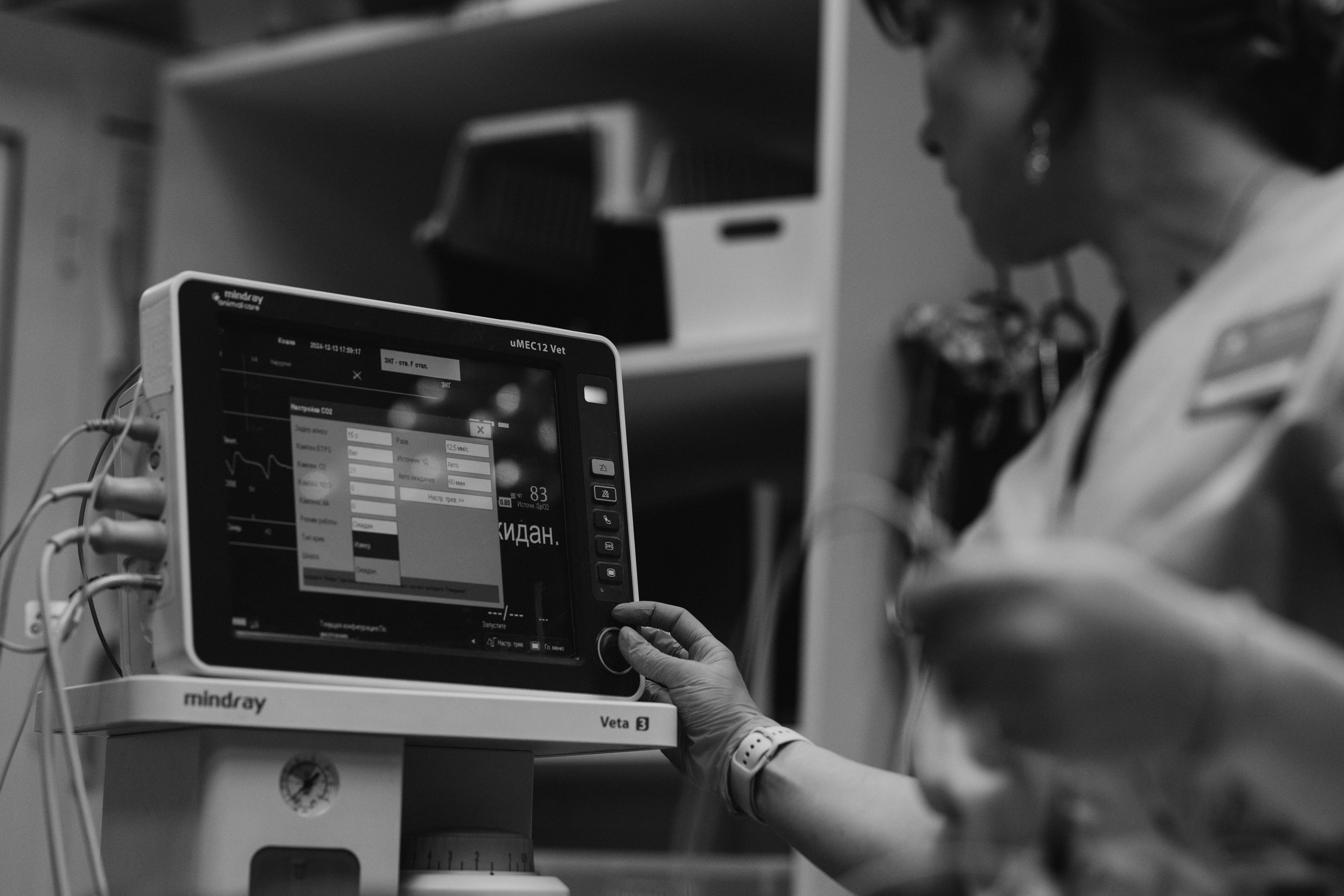 VetLife. Татьяна Афонина | Фотограф