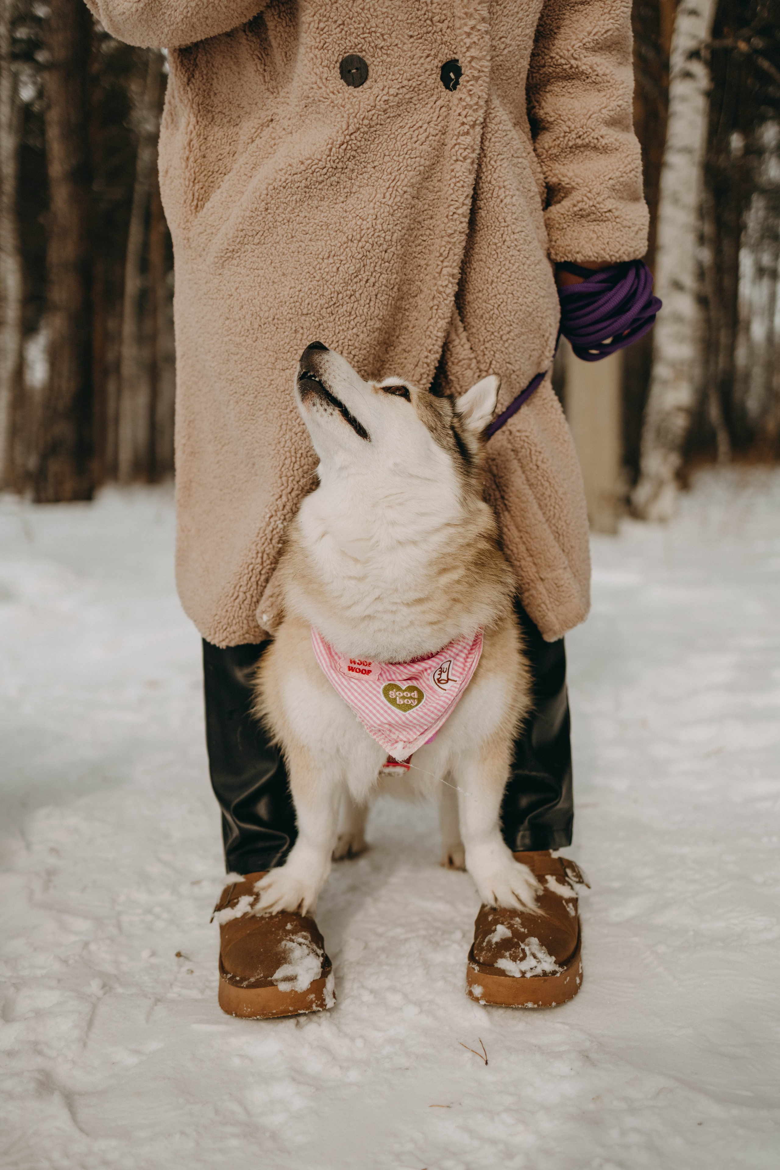 Варвара и Шелби. Фотограф-анималист в Екатеринбурге | Кристина