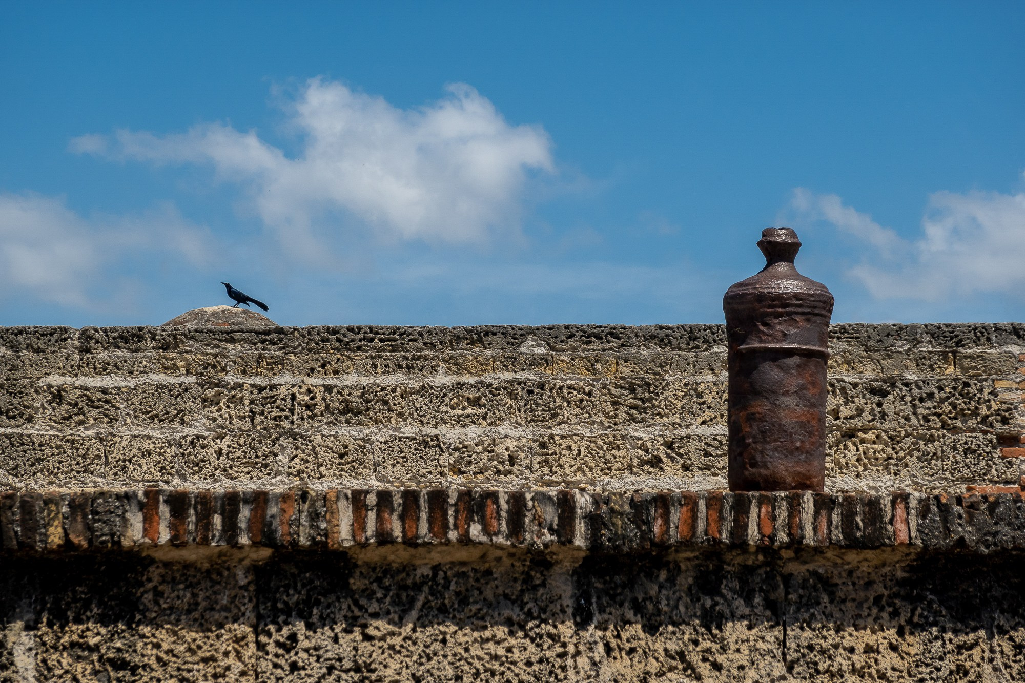 Алексей Скоробогатько, фотограф  г. Картахена, Колумбия. Alexey Skorobogatko, photographer, Cartagena, Colombia. Фотограф Алексей Скоробогатько